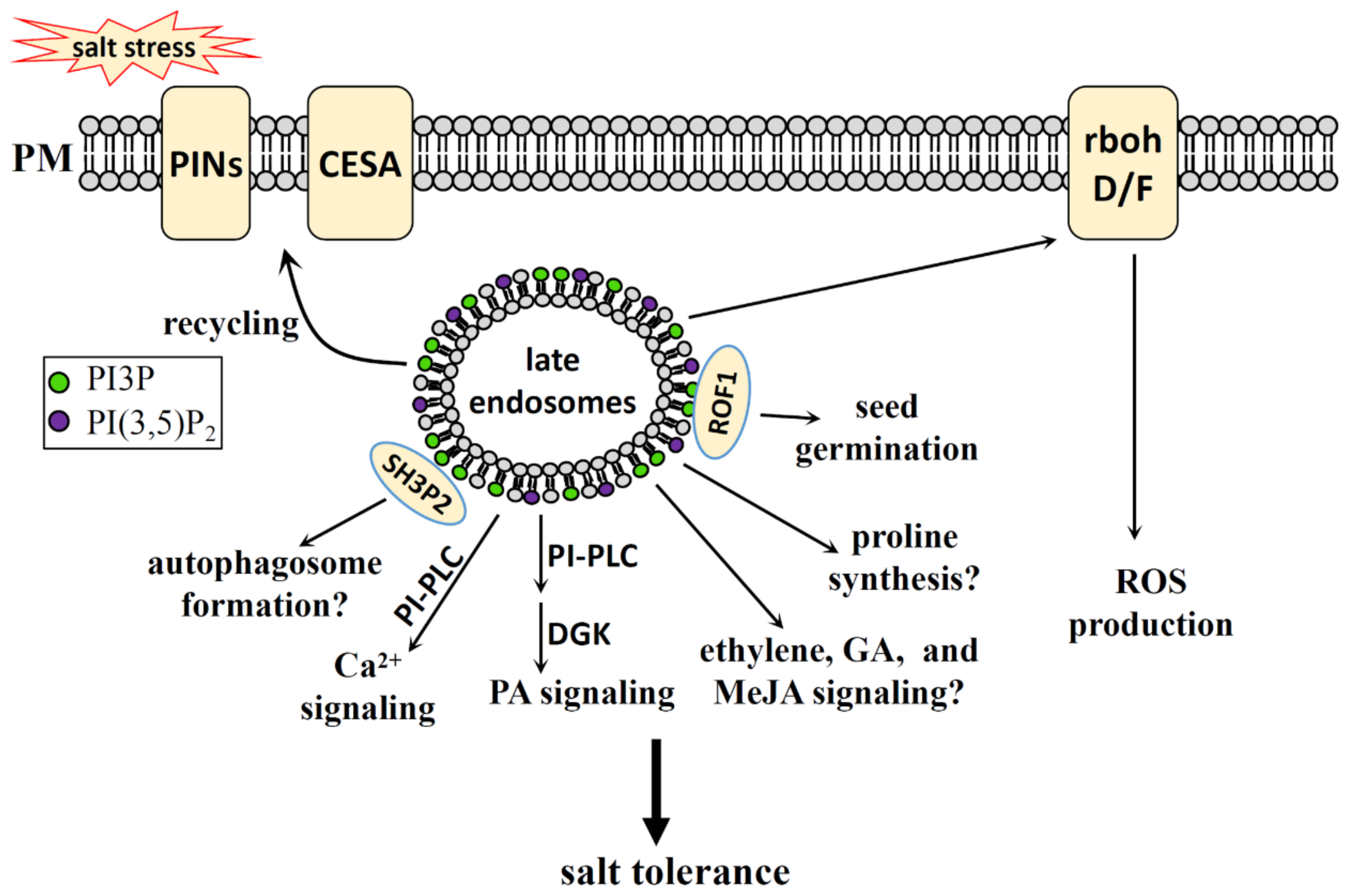Plants 10 02204 g004