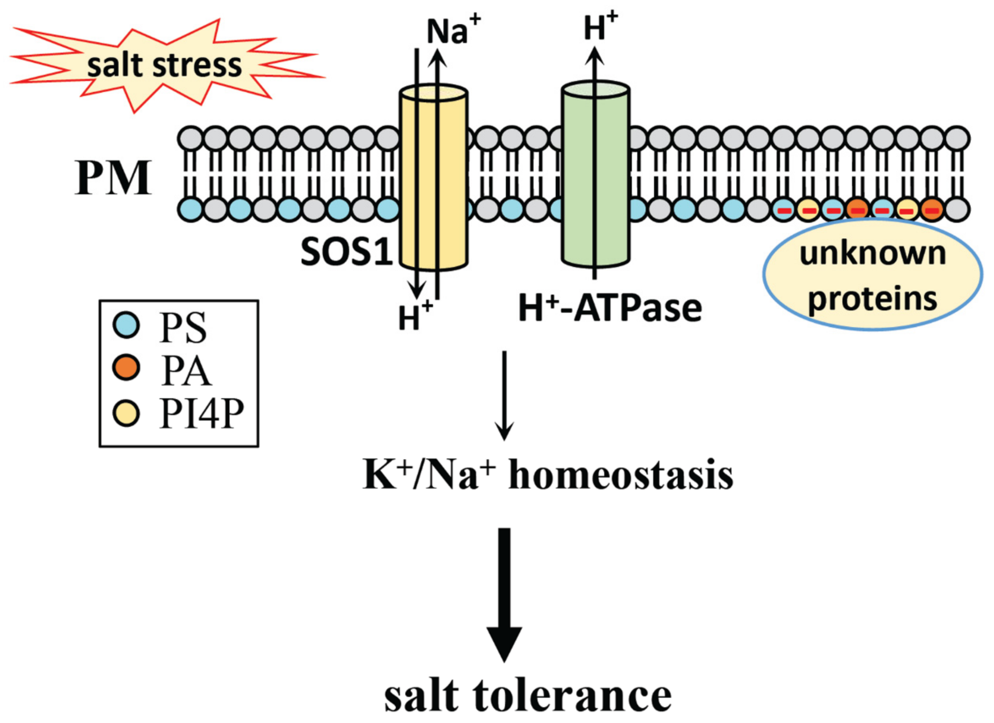 Plants 10 02204 g005