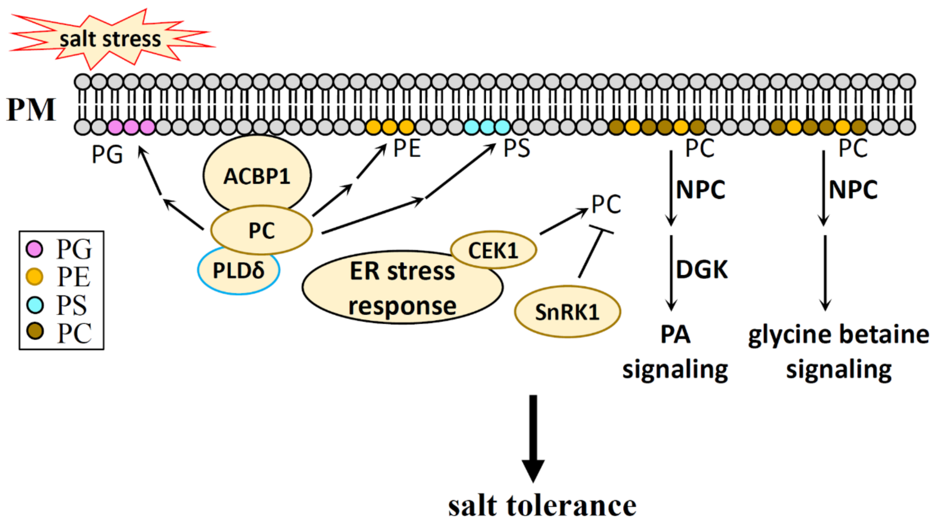 Plants 10 02204 g006