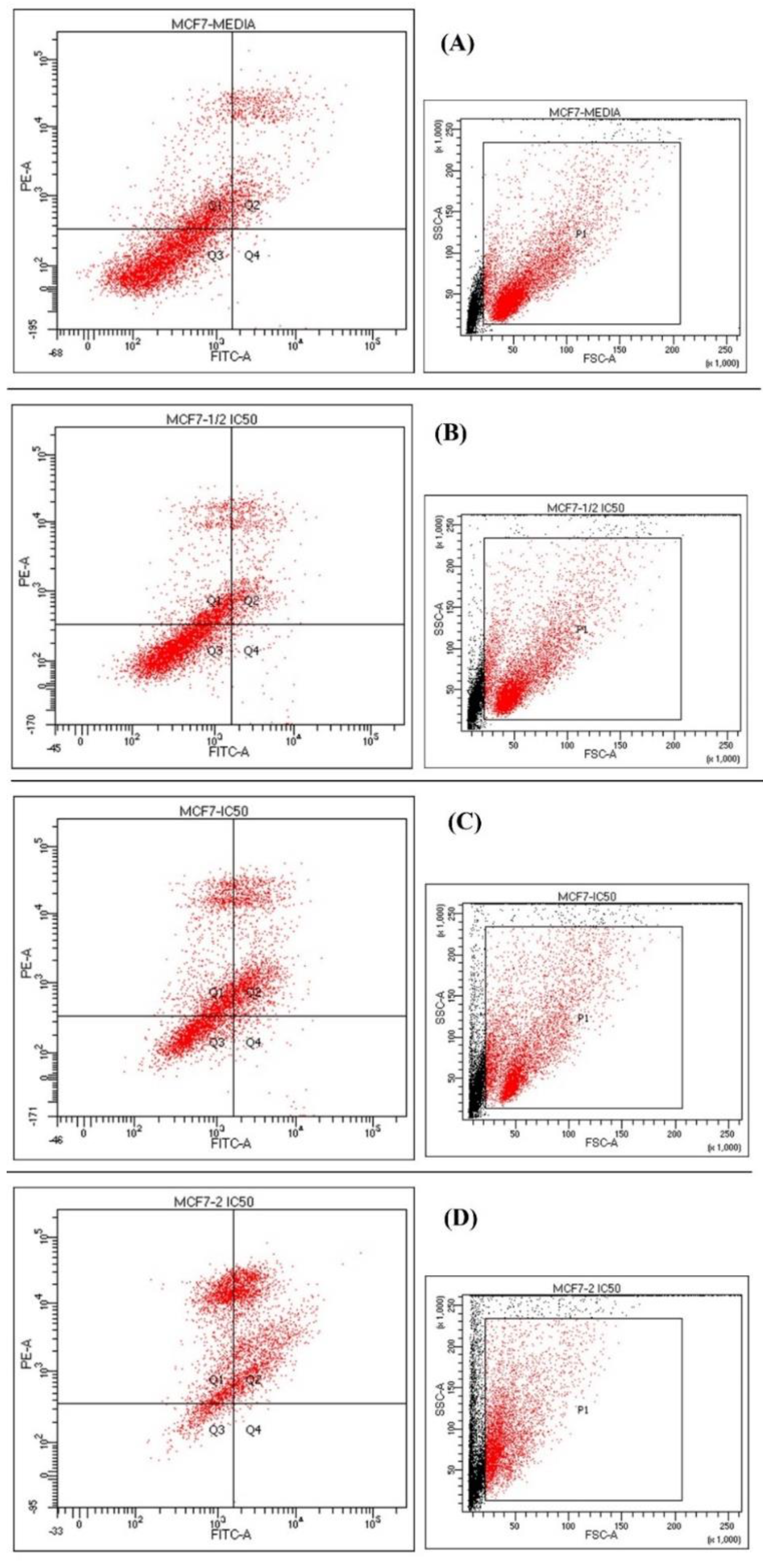 Plants 10 02208 g004