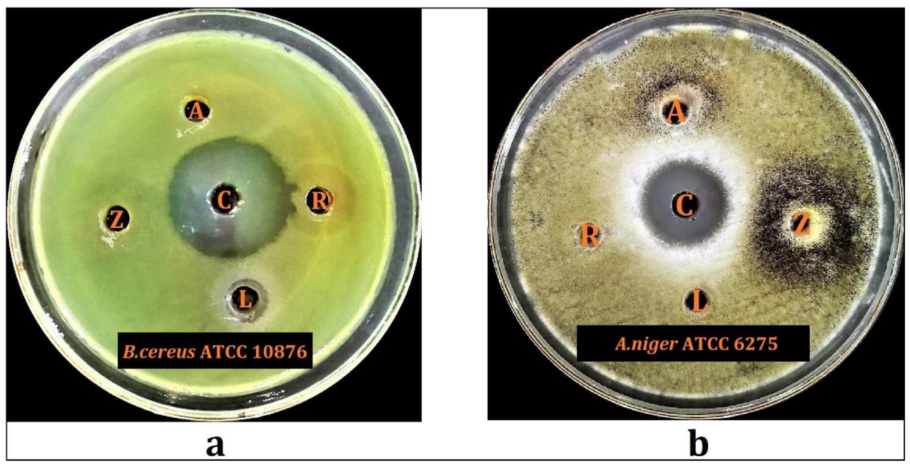 Plants 10 02208 g005