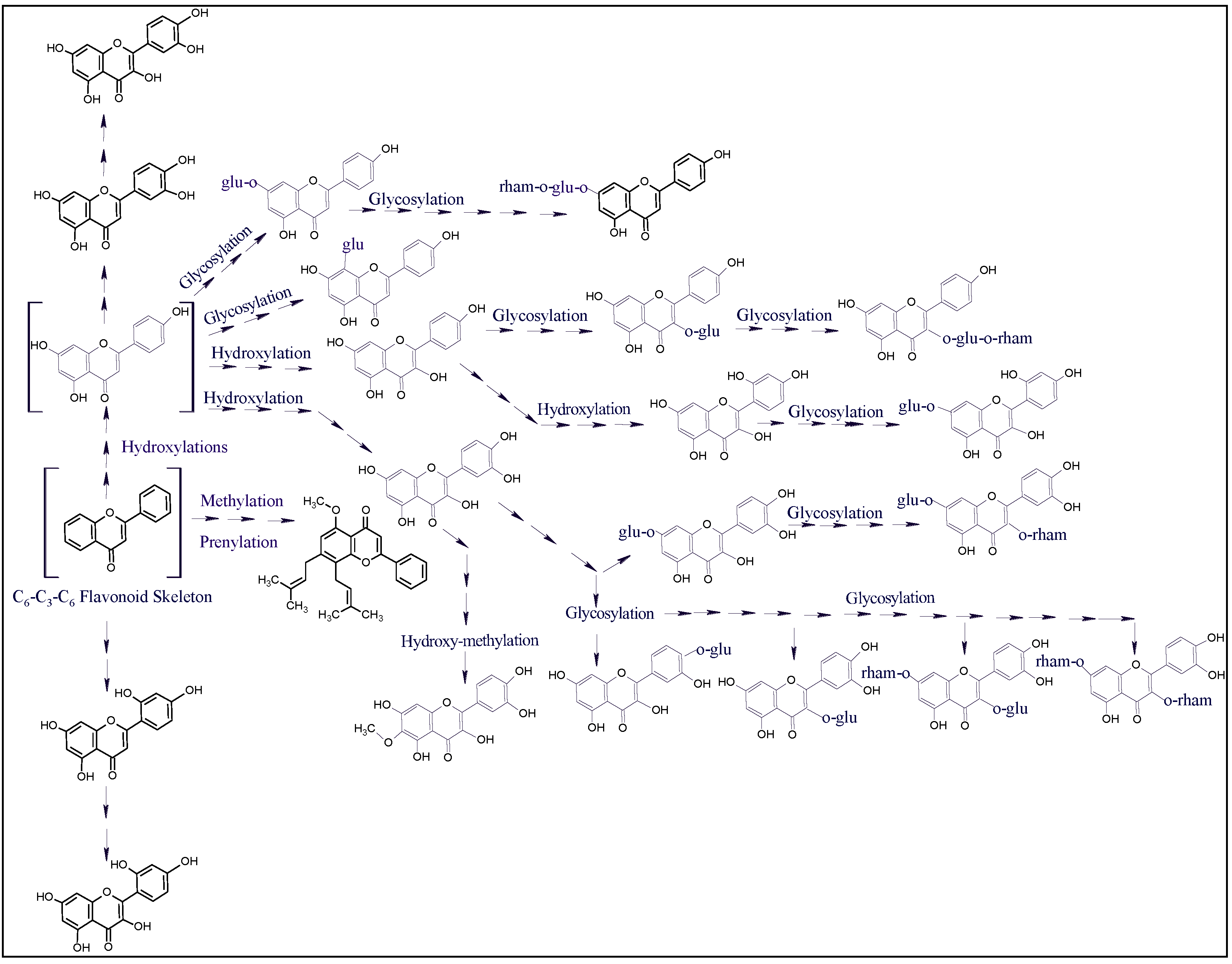 Plants 10 02208 g006