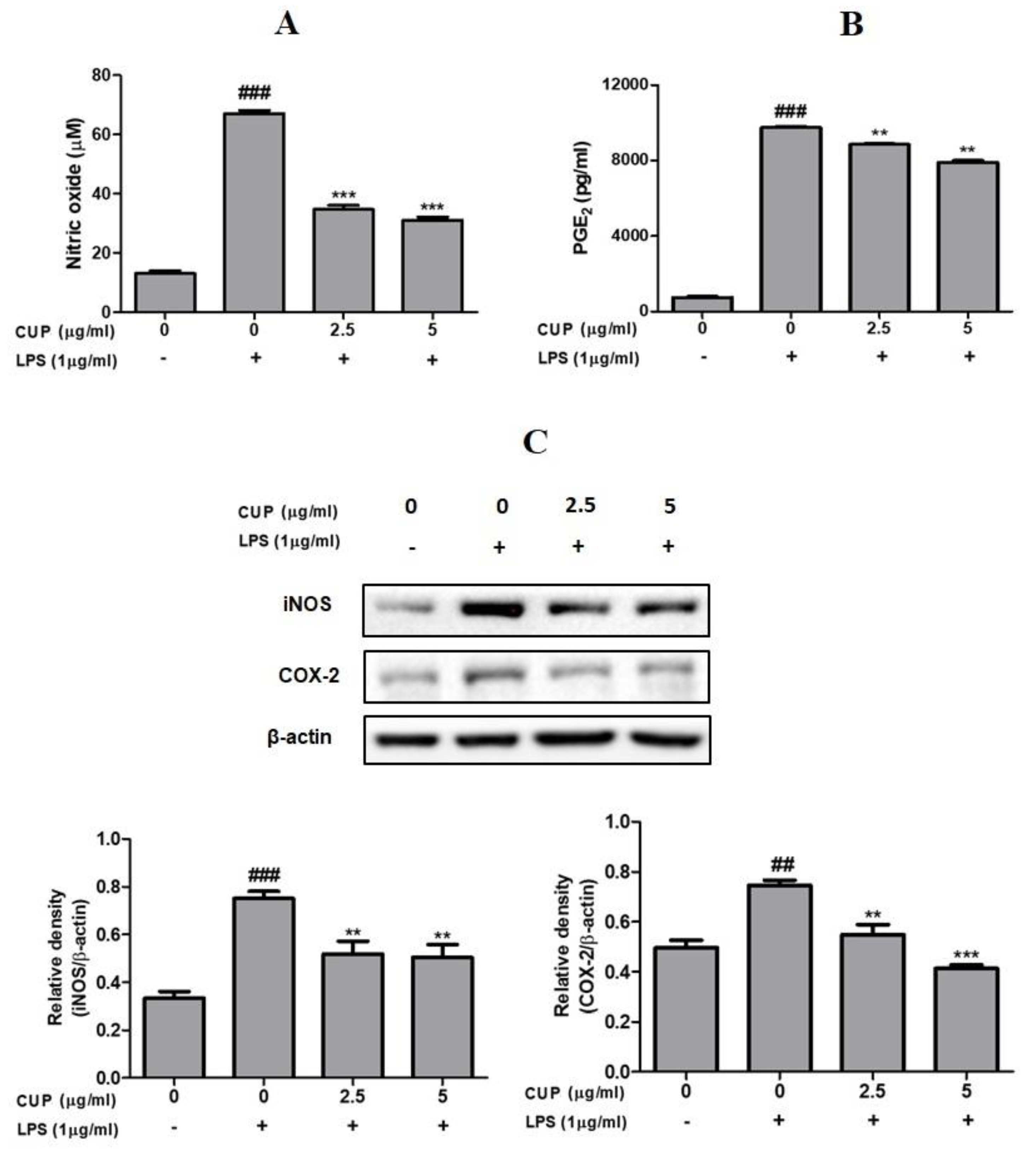Plants 10 02209 g004 550