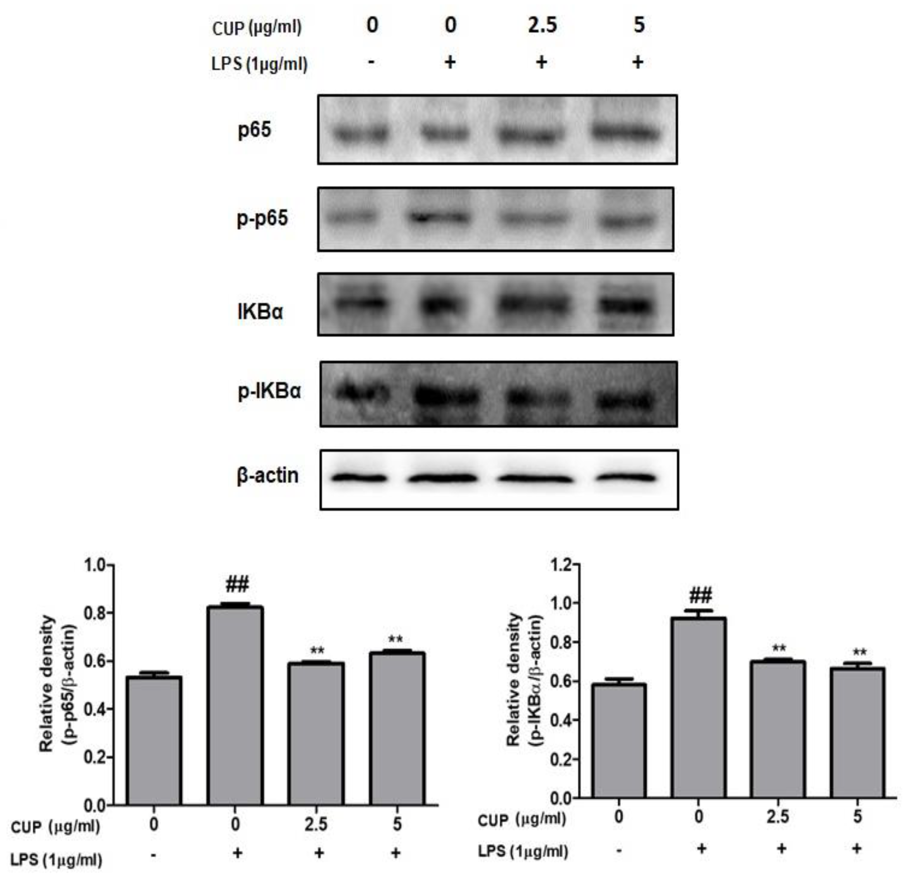 Plants 10 02209 g006 550