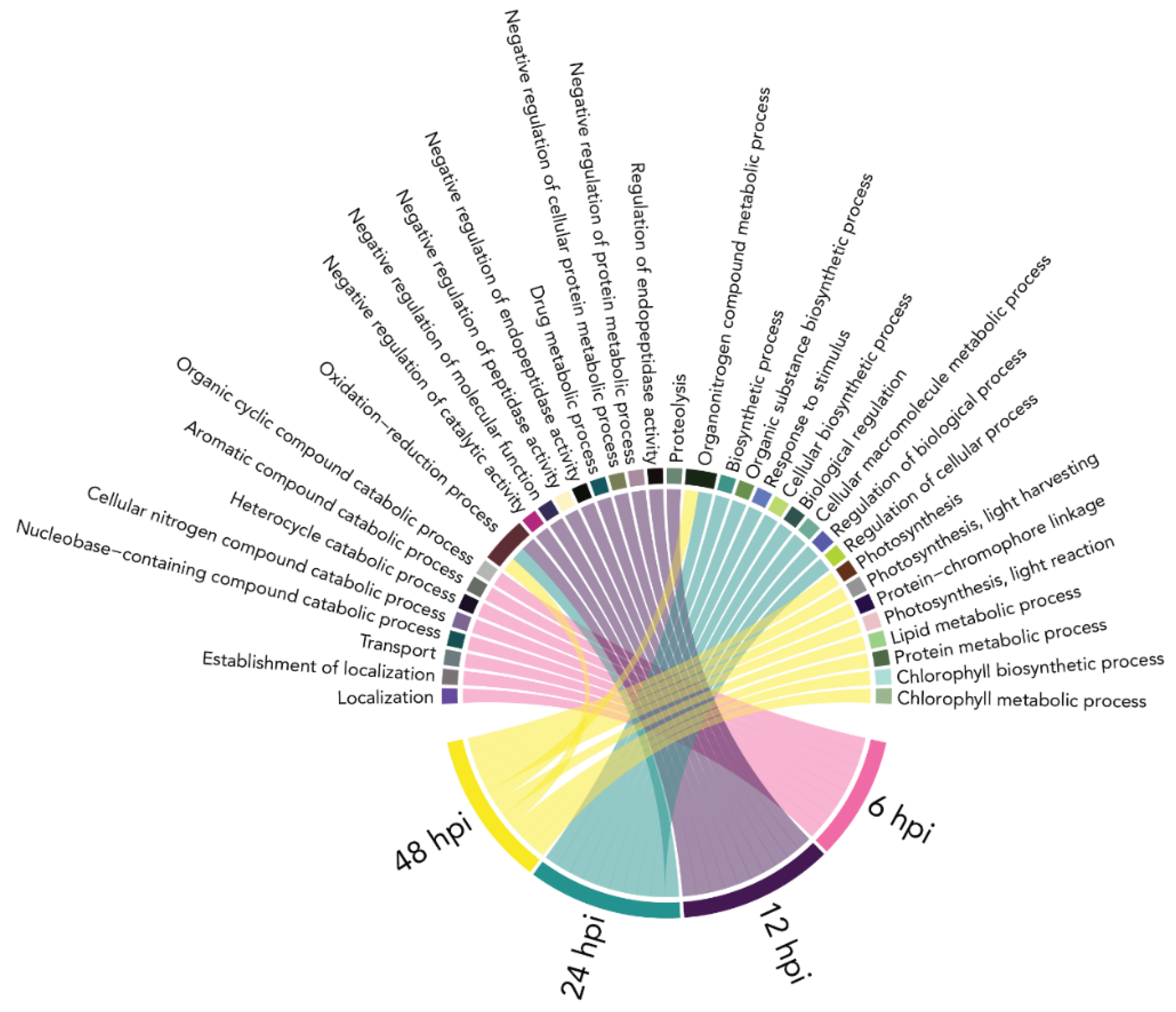 Plants 10 02212 g004 Plants 10 02212 g004