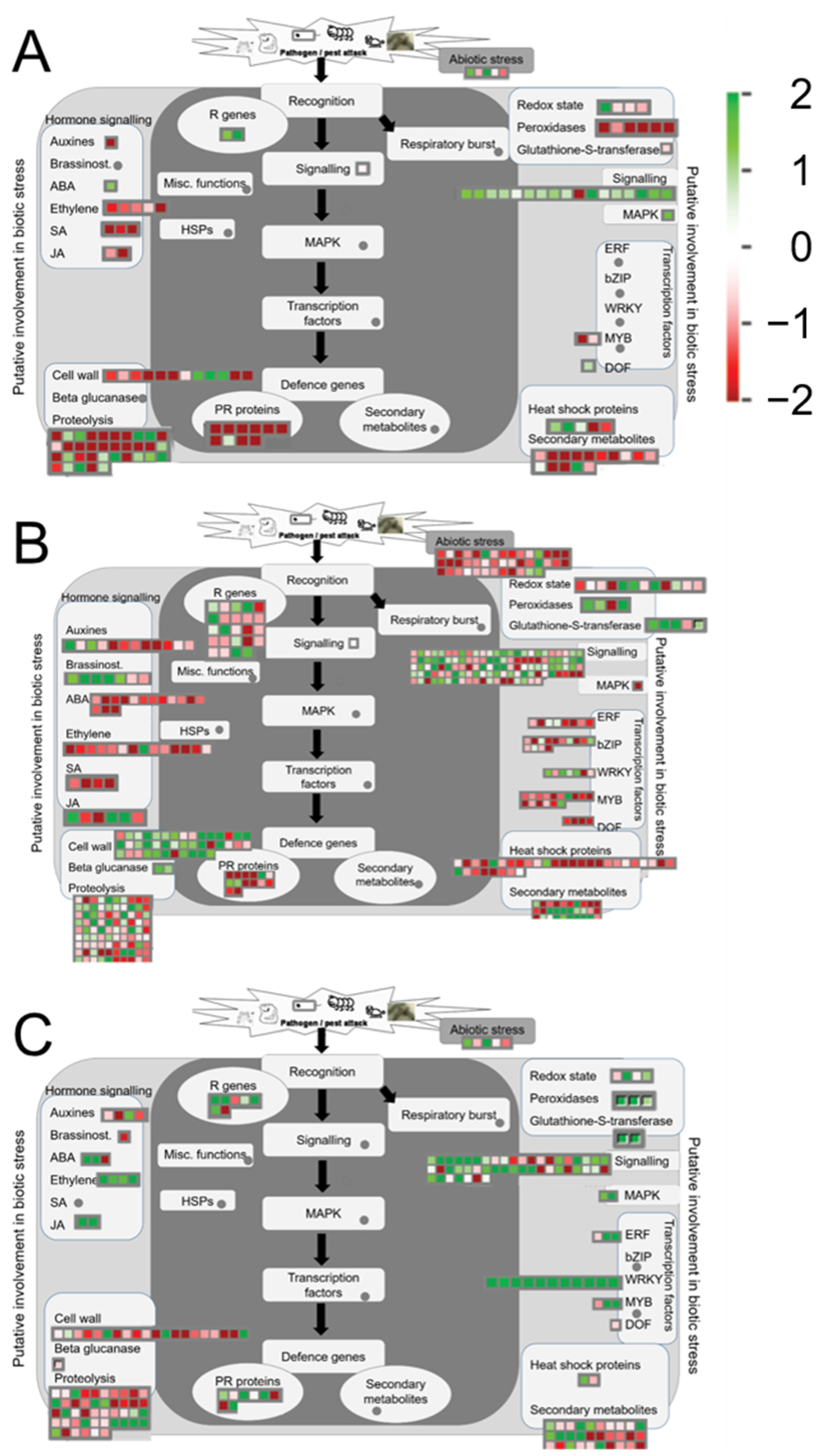Plants 10 02212 g005 Plants 10 02212 g005