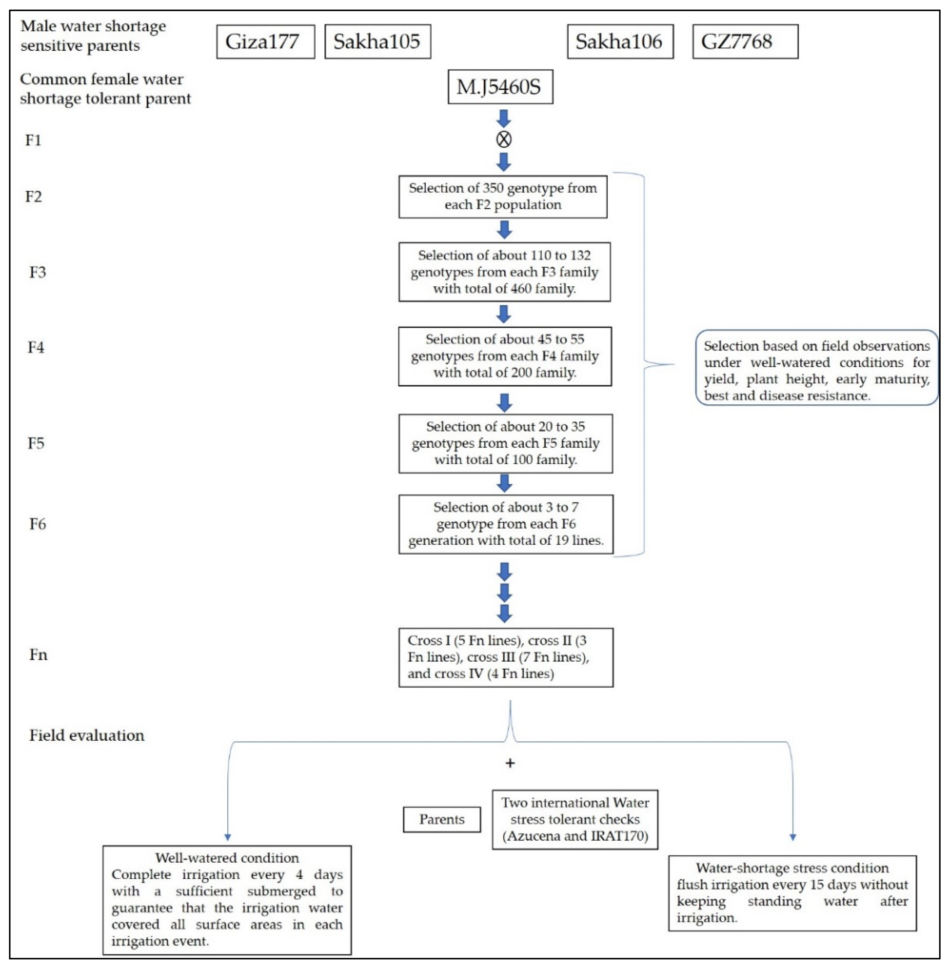 Plants 10 02219 g002 Plants 10 02219 g002