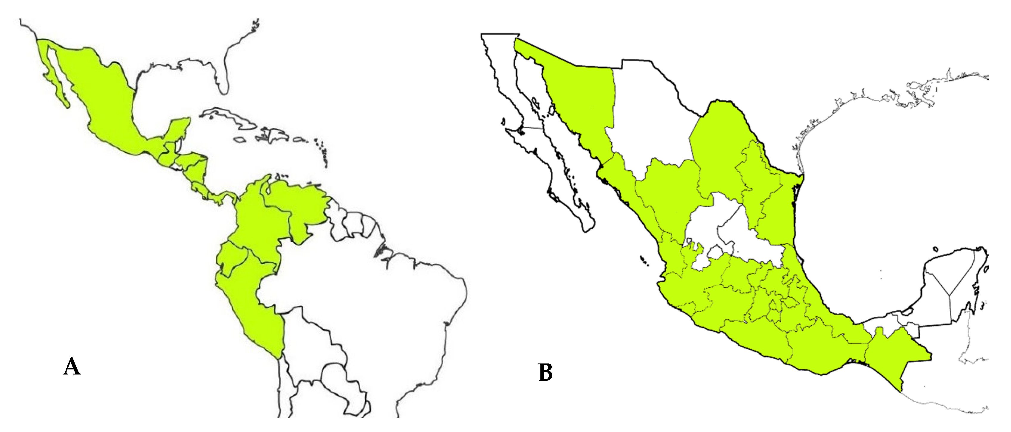 Plants 10 02225 g002