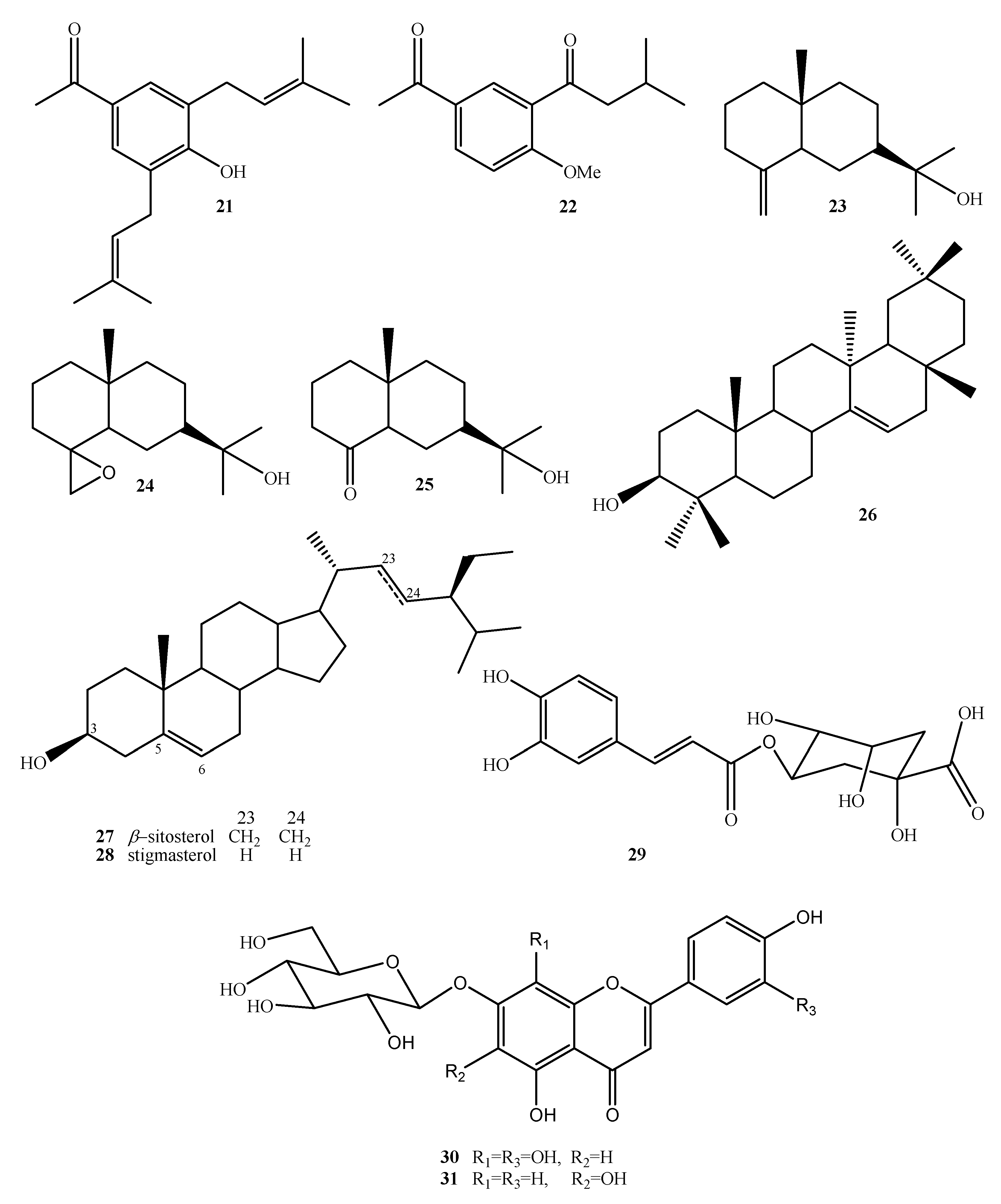 Plants 10 02225 g004