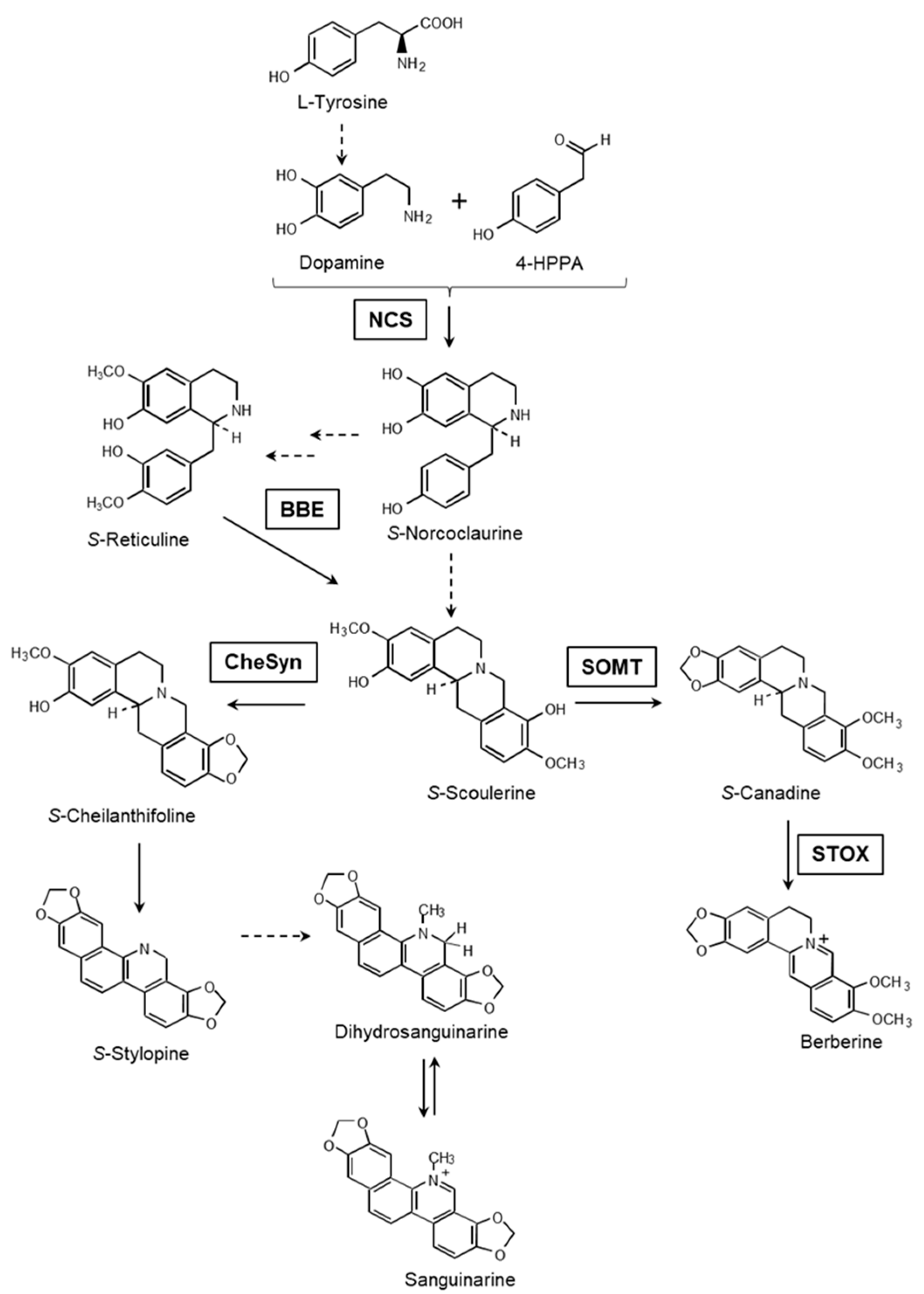 Plants 10 02226 g001 Plants 10 02226 g001