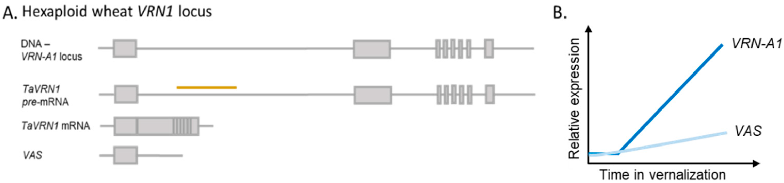 Plants 10 02230 g003