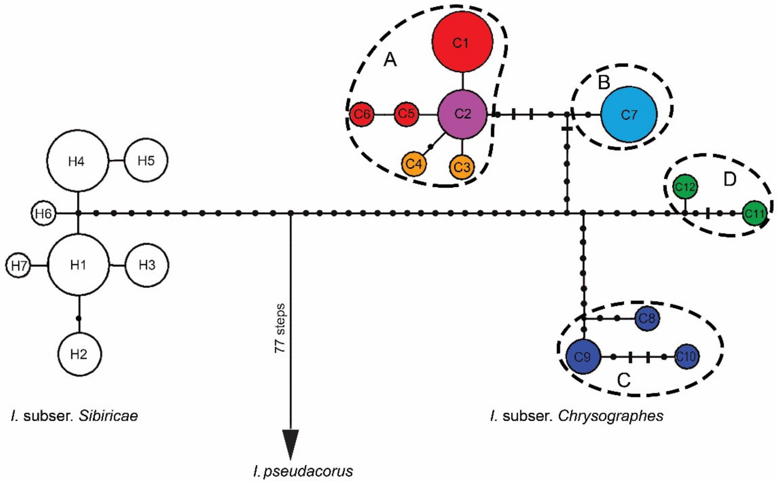 Plants 10 02232 g003 Plants 10 02232 g003