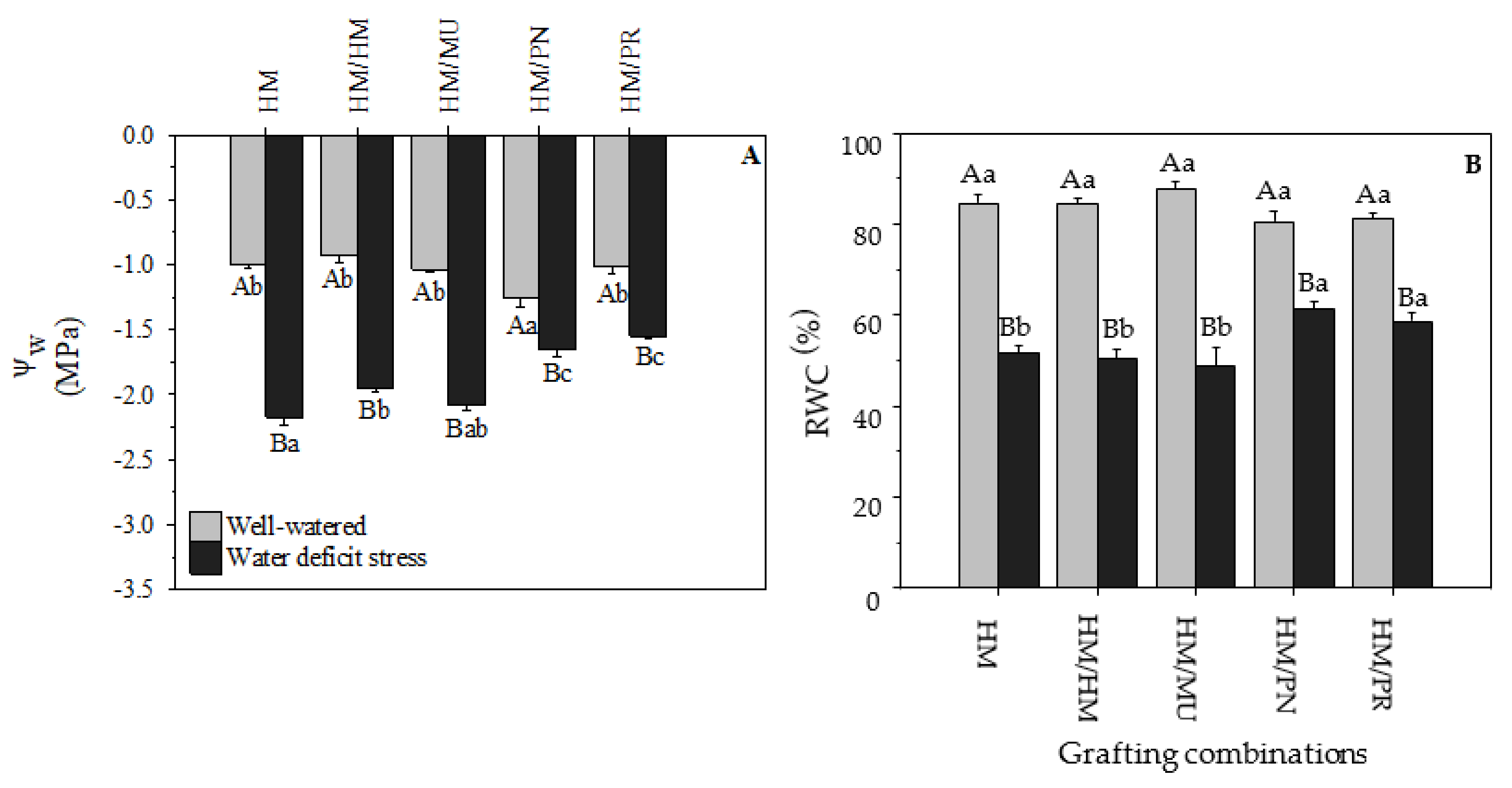 Plants 10 02236 g002 550