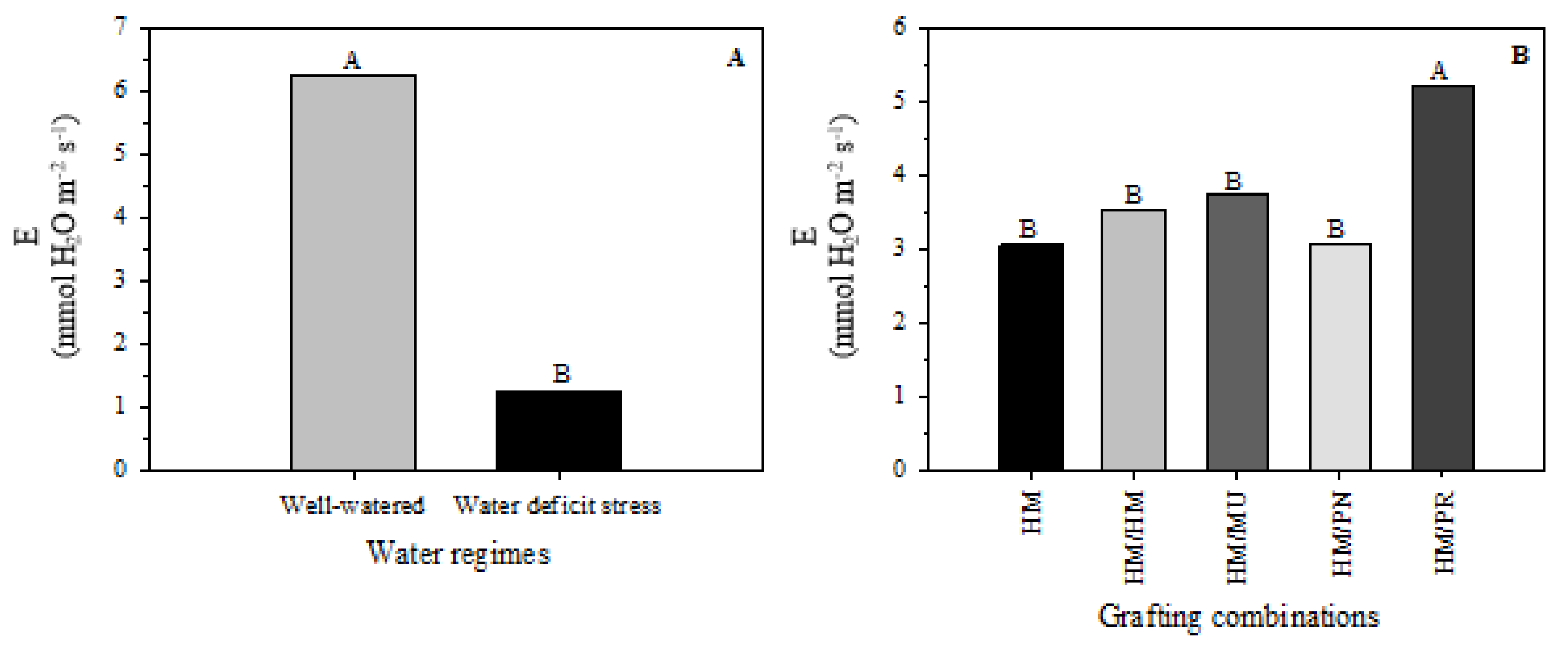 Plants 10 02236 g003 550