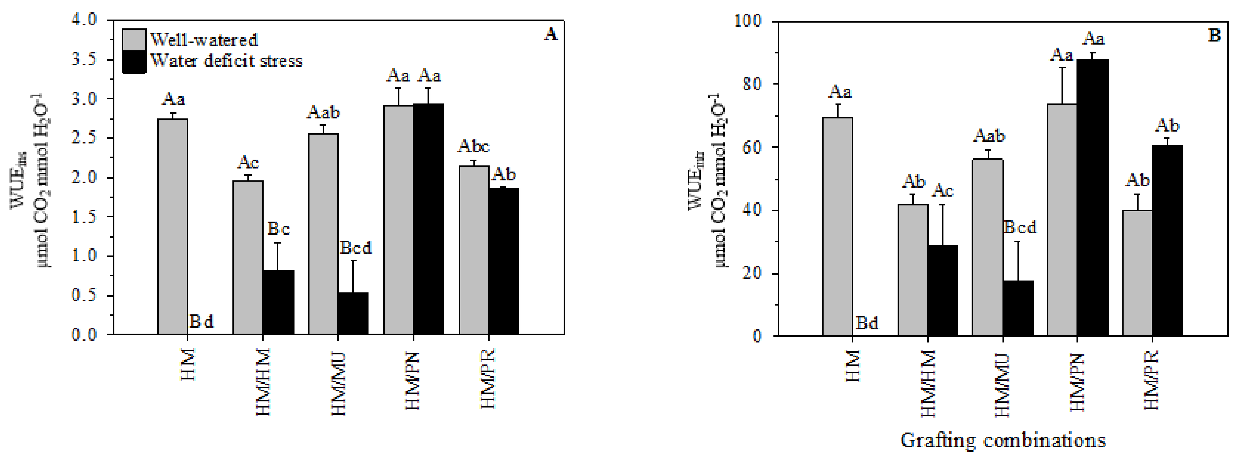 Plants 10 02236 g005 550
