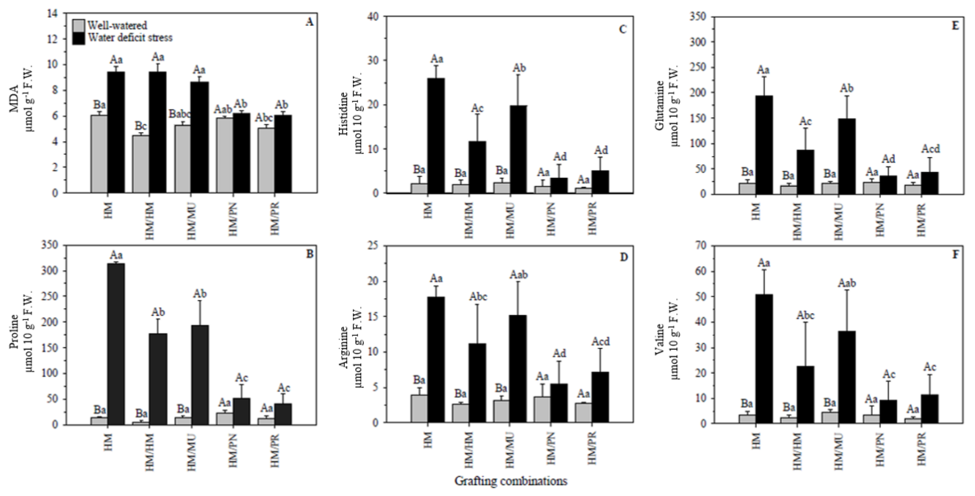 Plants 10 02236 g006 550