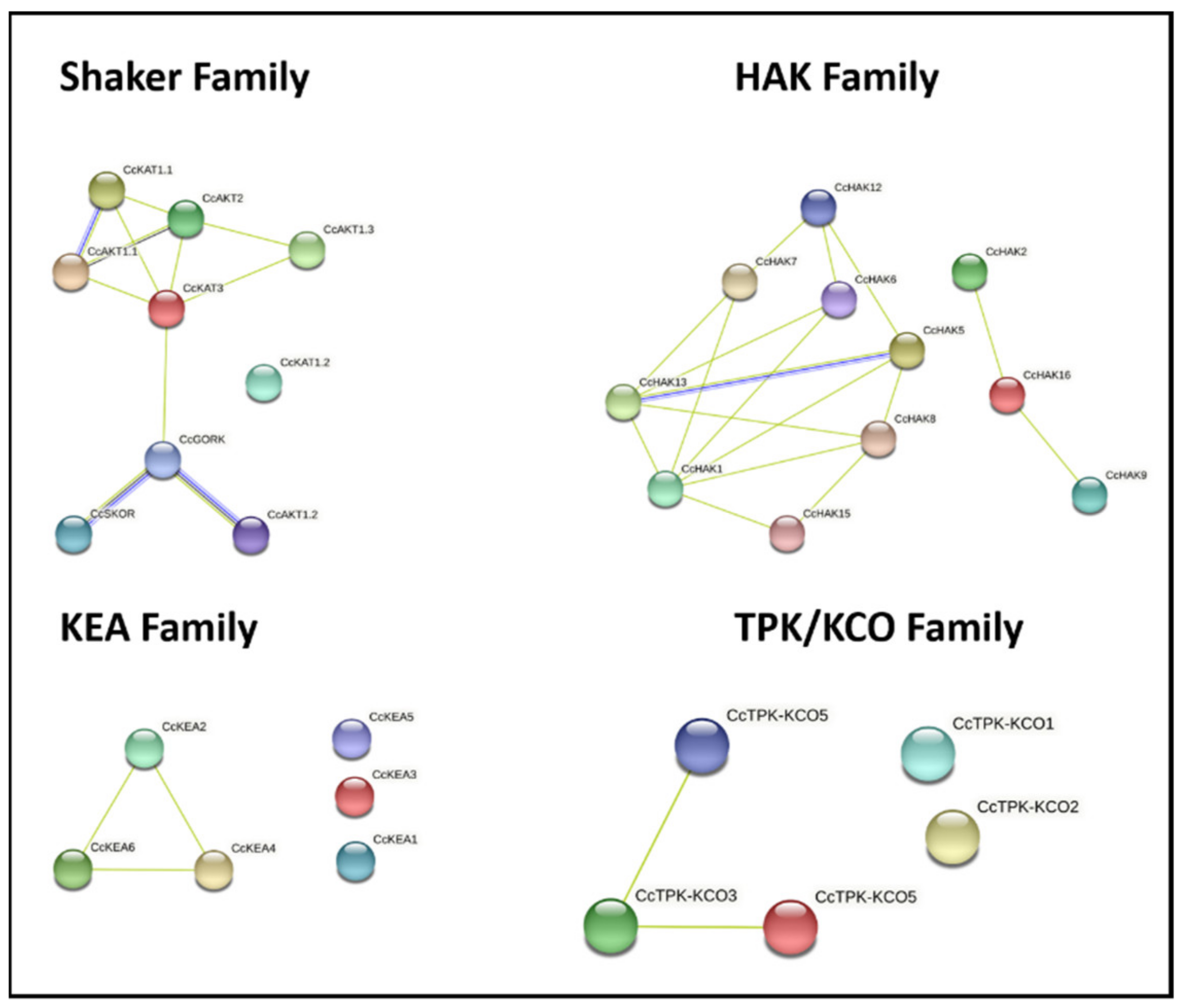 Plants 10 02238 g006