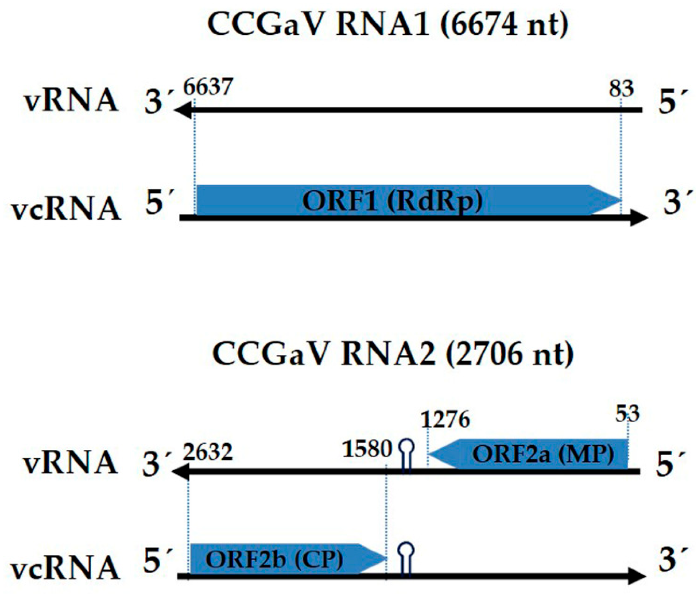 Plants 10 02239 g002 550