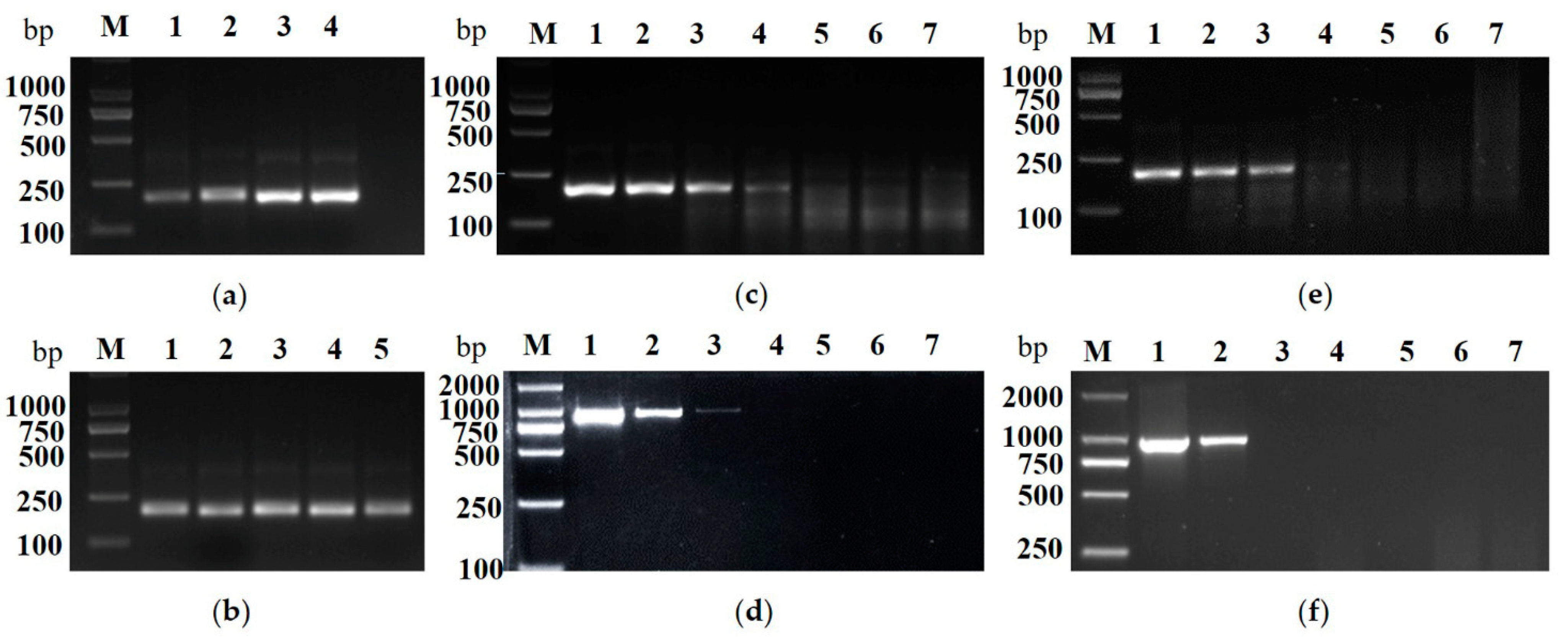 Plants 10 02239 g005 550