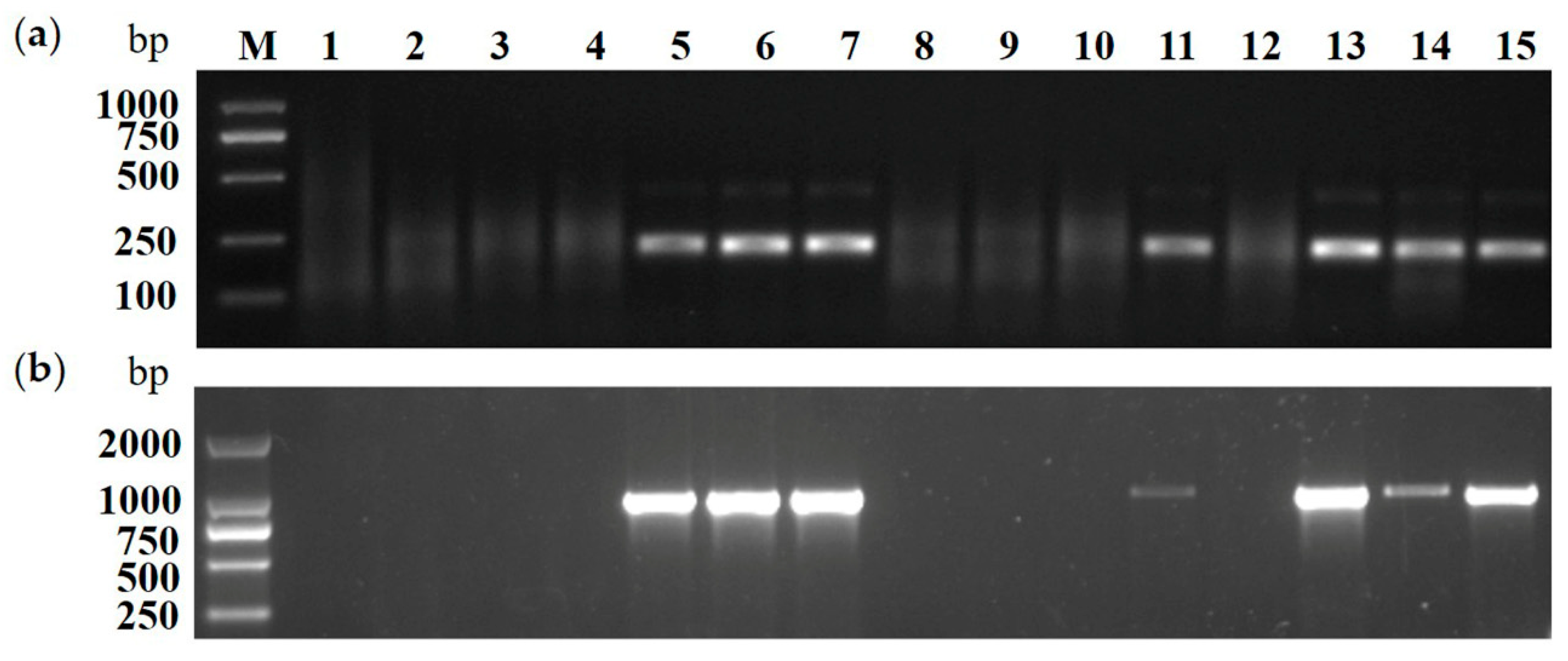 Plants 10 02239 g006 550