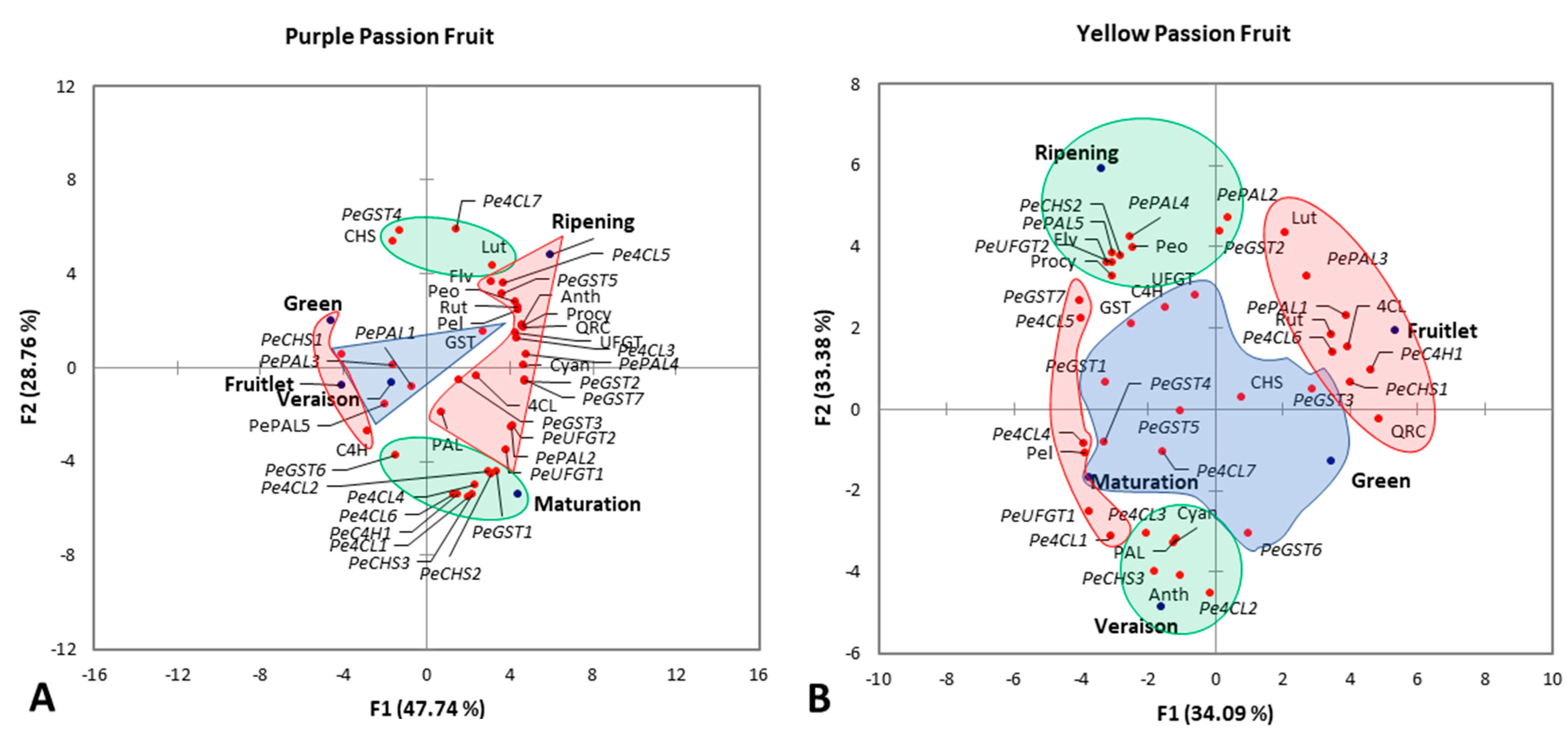 Plants 10 02240 g009