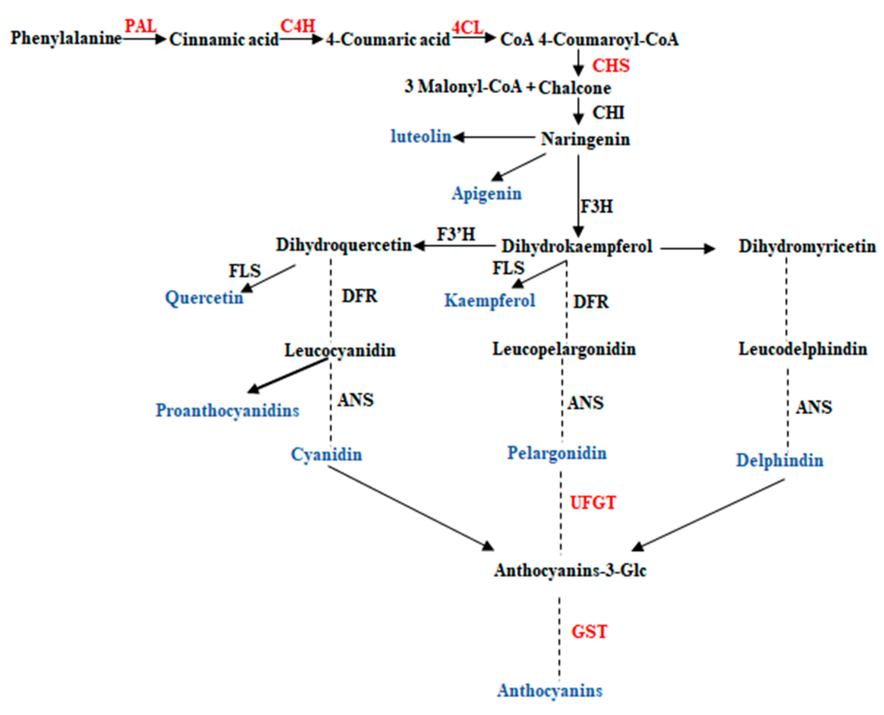 Plants Free FullText Flavonoids Accumulation in Fruit Peel and