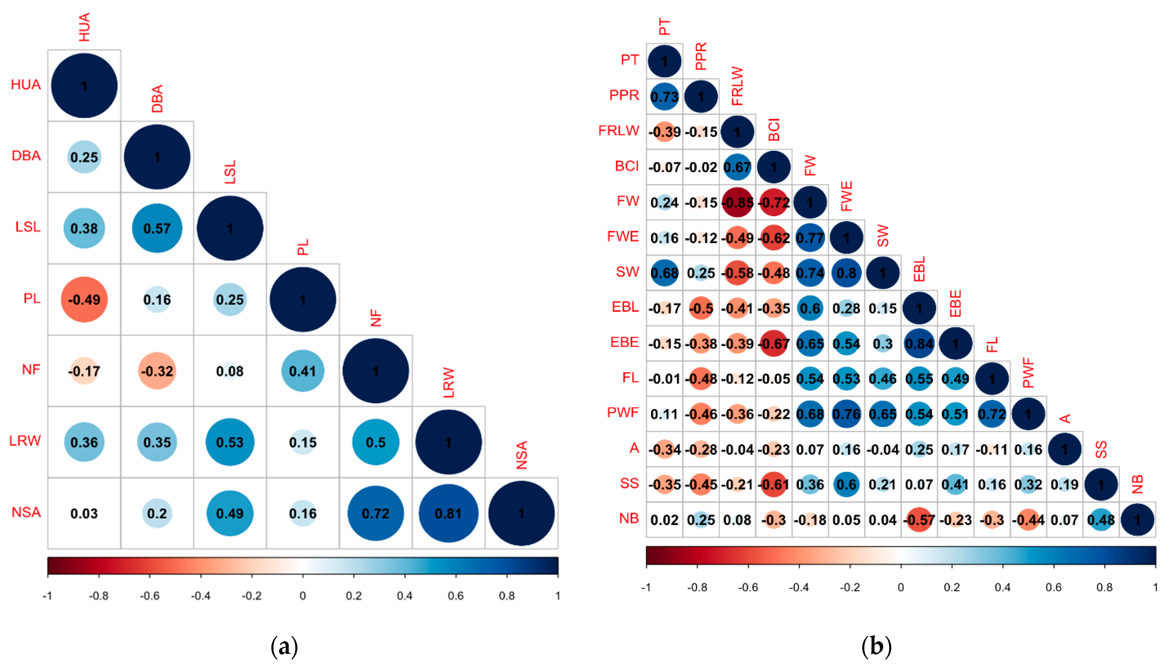 Distinguishing three Dragon fruit (Hylocereus spp.) species grown in  Andaman and Nicobar Islands of India using morphological, biochemical and  molecular traits