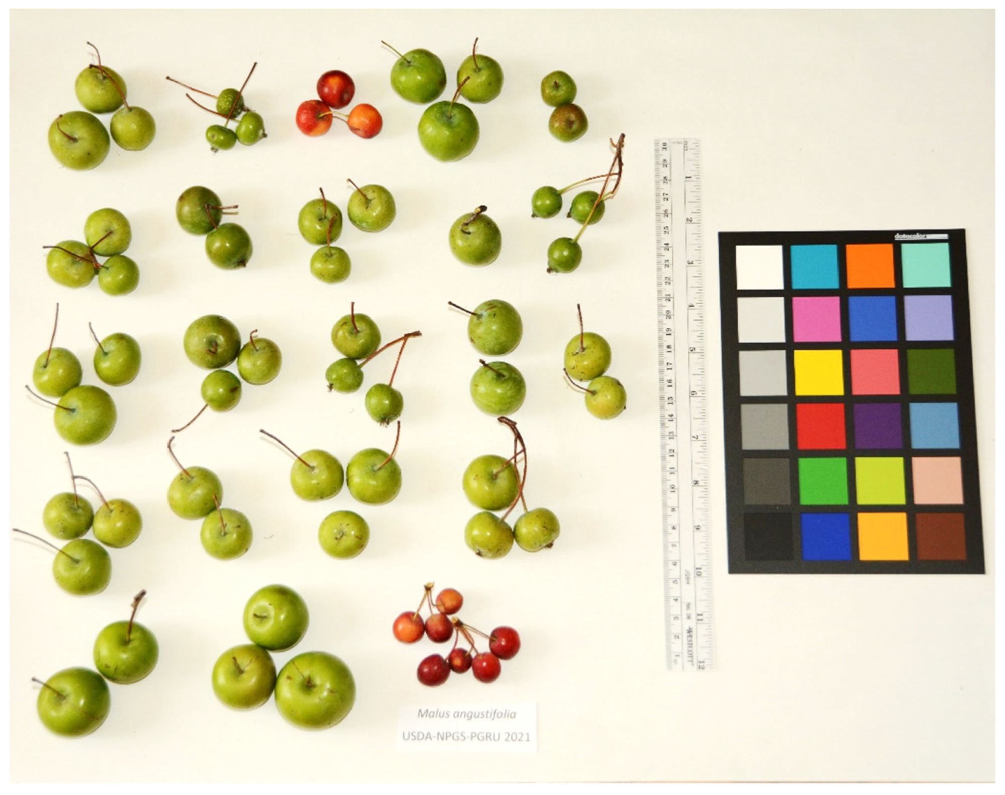 Plants 10 02260 g003