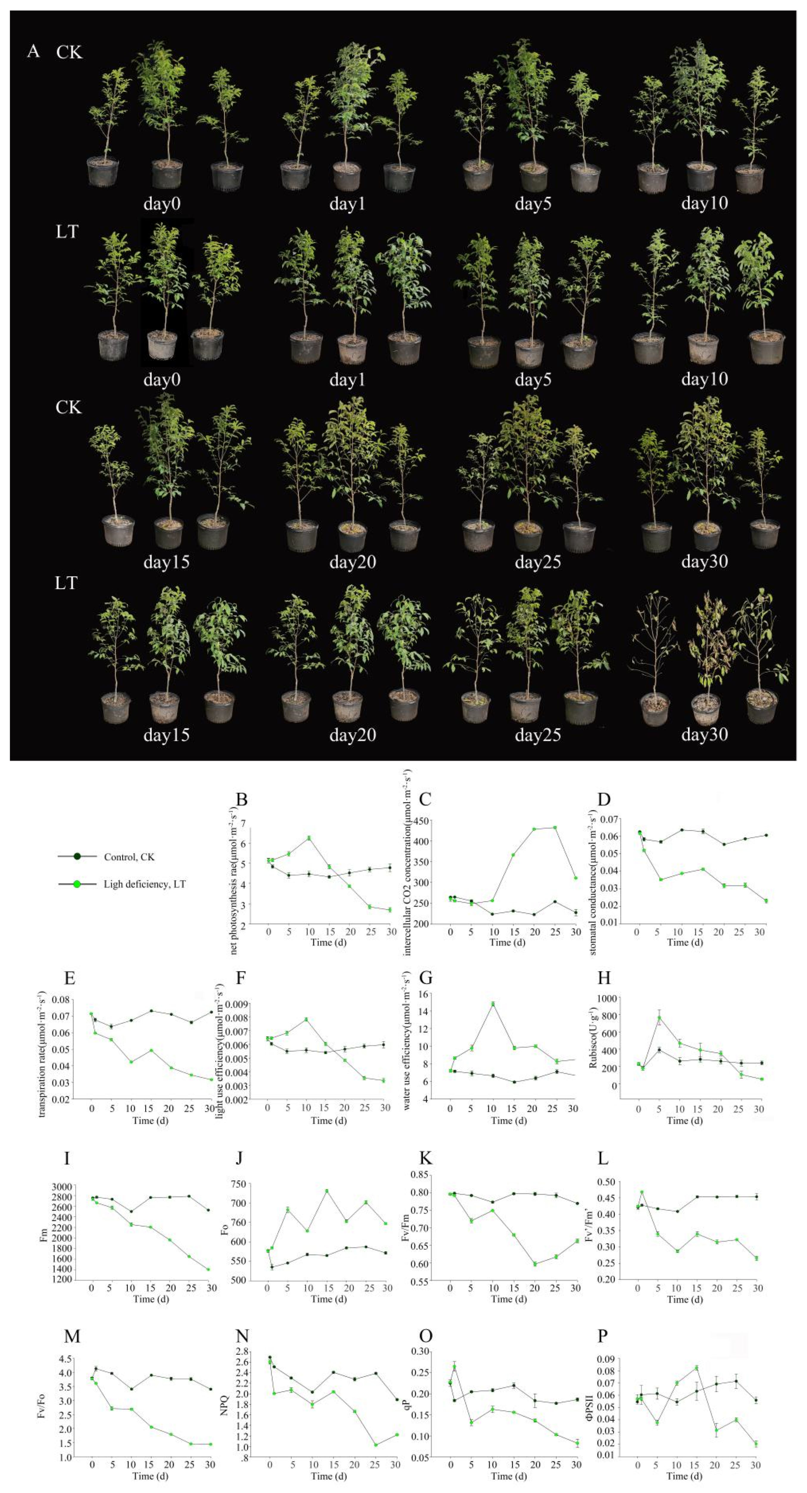 Plants 10 02261 g001