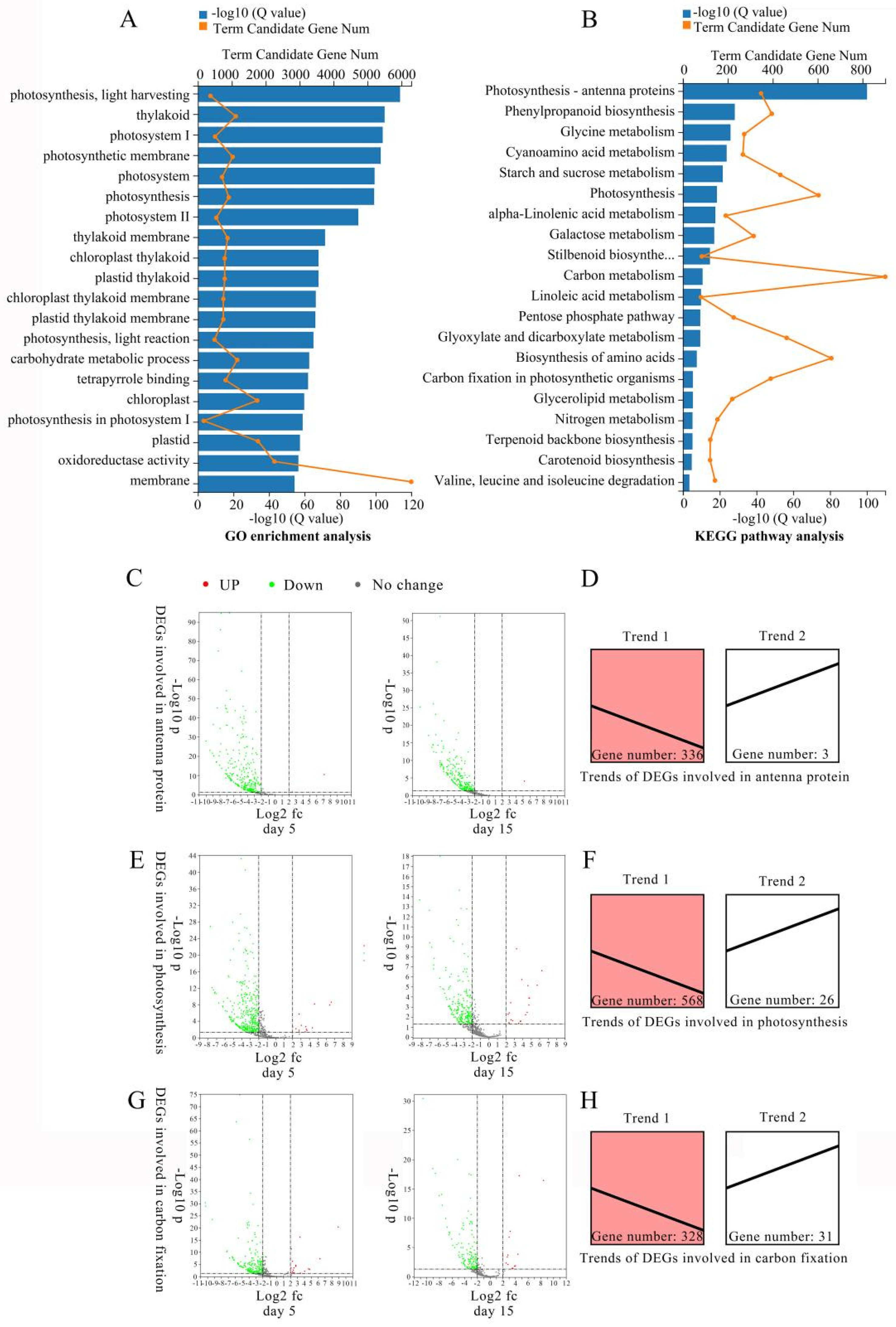 Plants 10 02261 g002