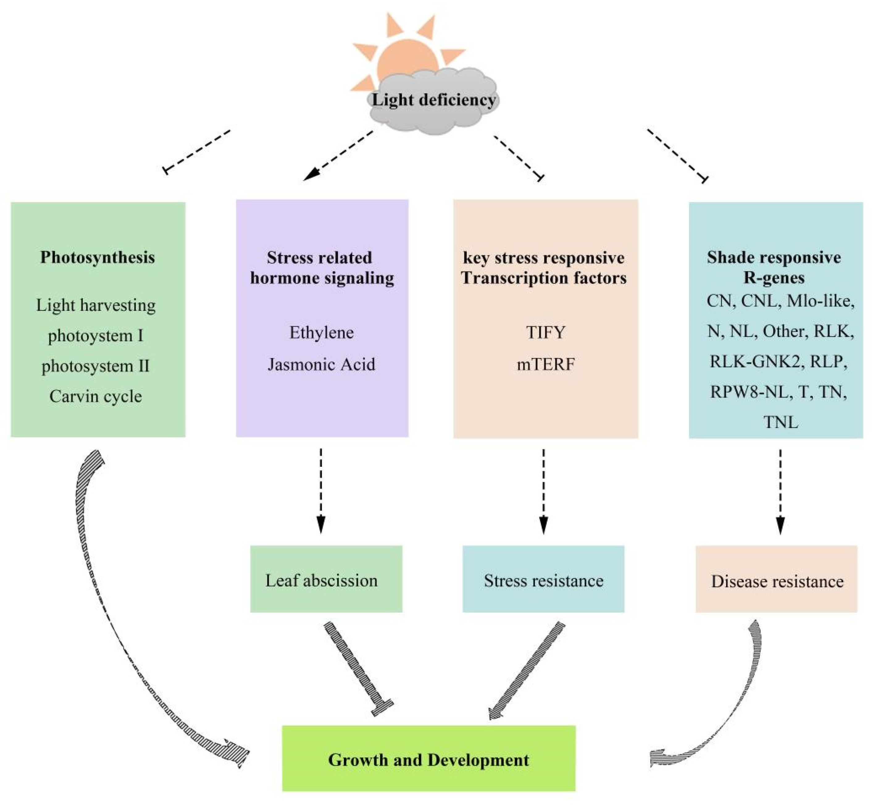 Plants 10 02261 g006