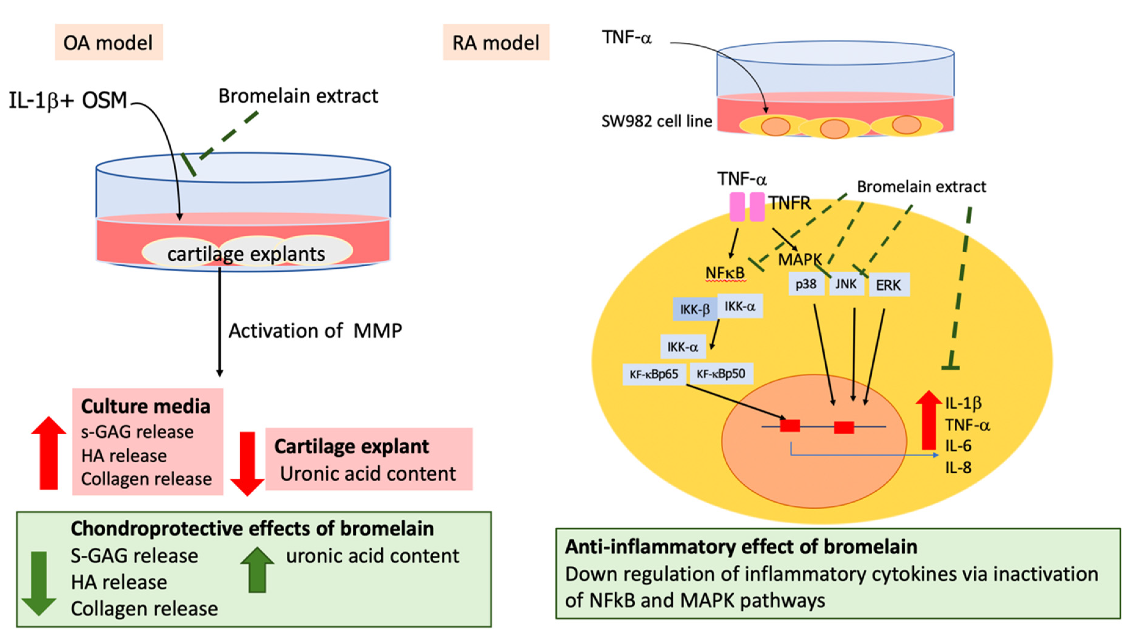 Plants 10 02273 g005 Plants 10 02273 g005