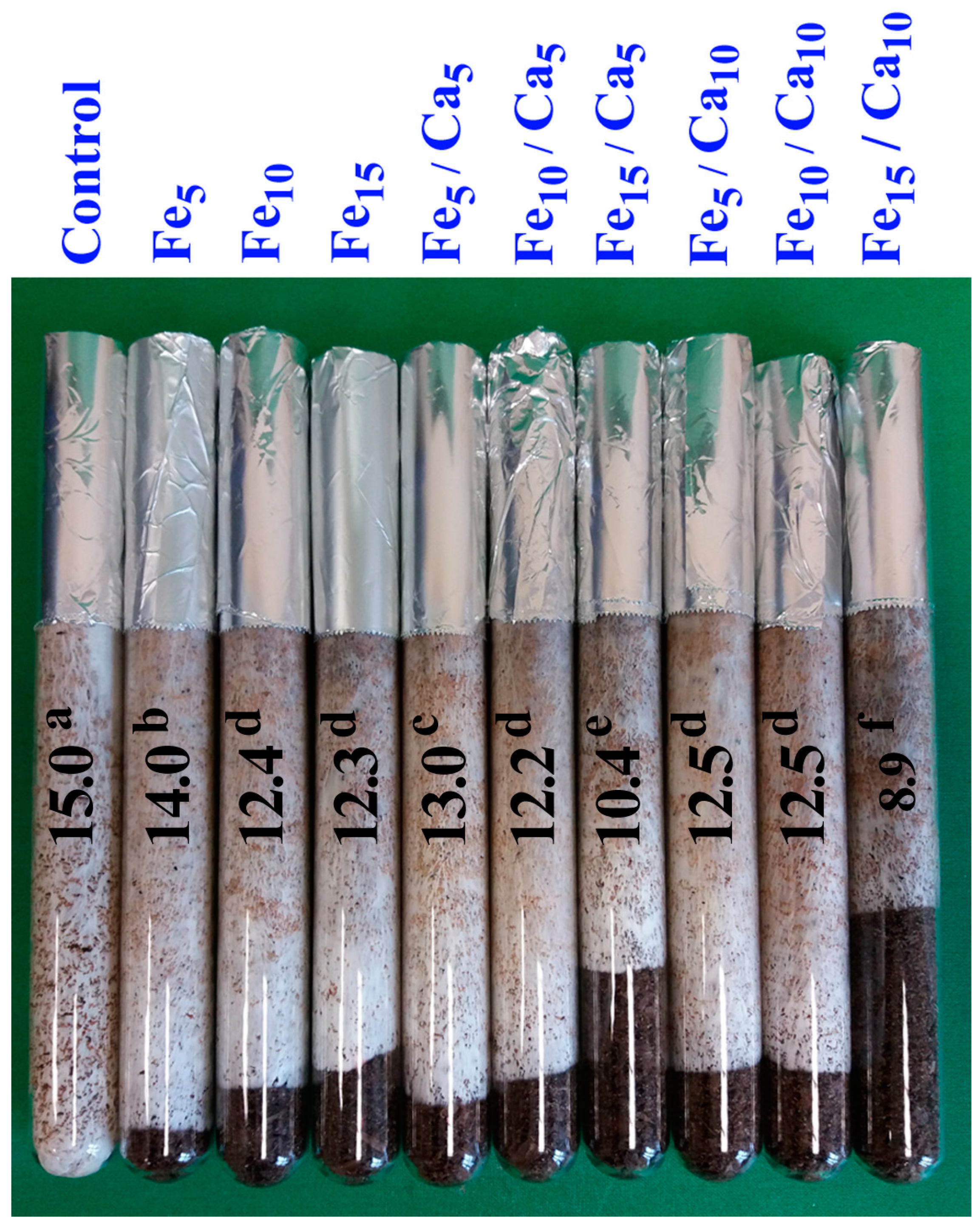 Plants 10 02275 g001 550