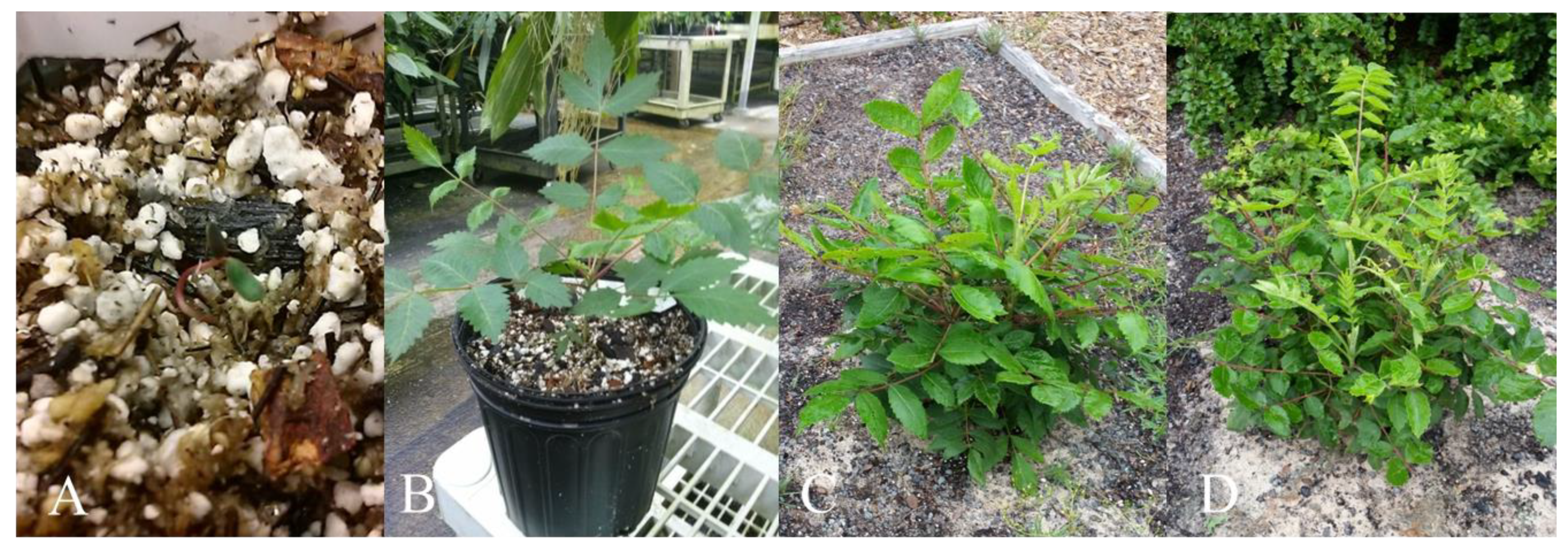 Plants 10 02277 g005 Plants 10 02277 g005