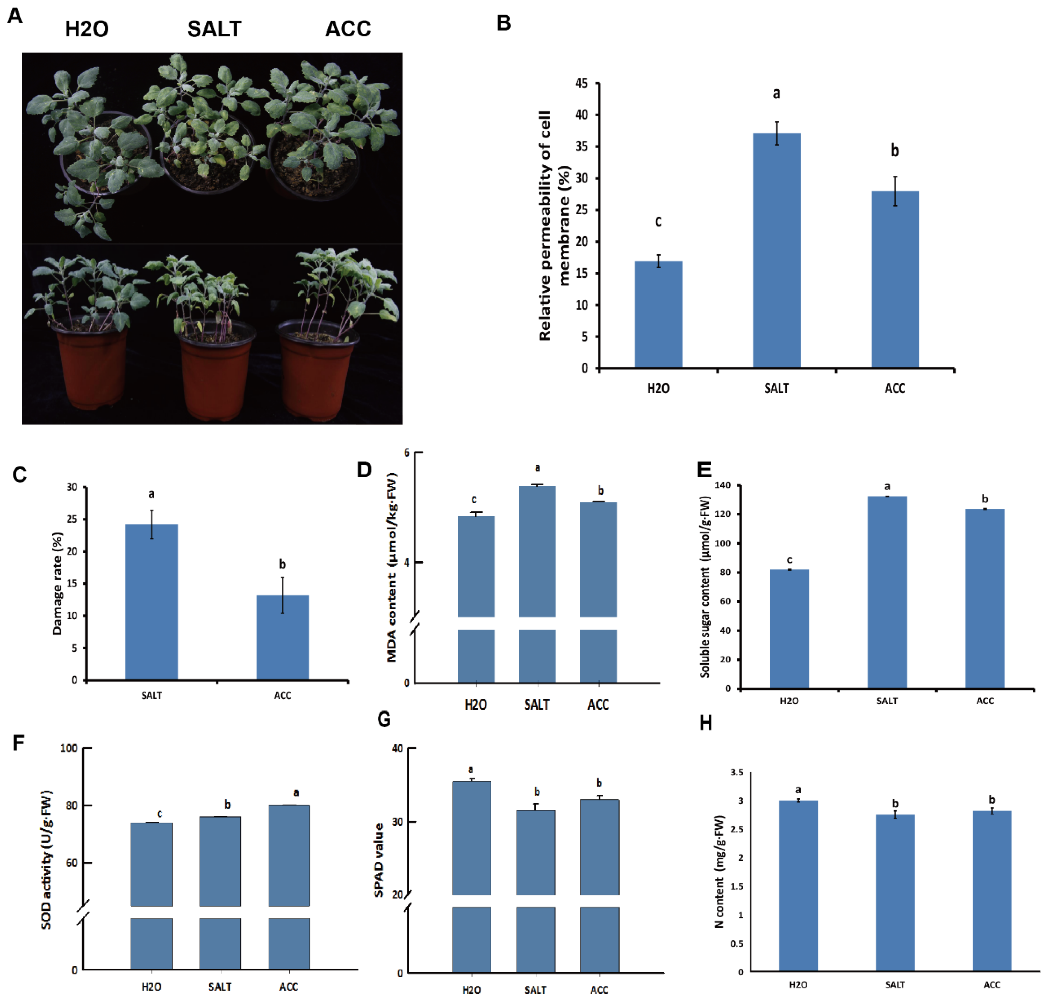 Plants 10 02281 g005 550