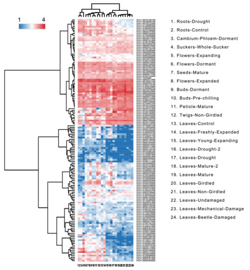 Plants Free Full Text Genome Wide Analysis Of The Homeobox Gene Family And Identification Of Drought Responsive Members In Populus Trichocarpa Html