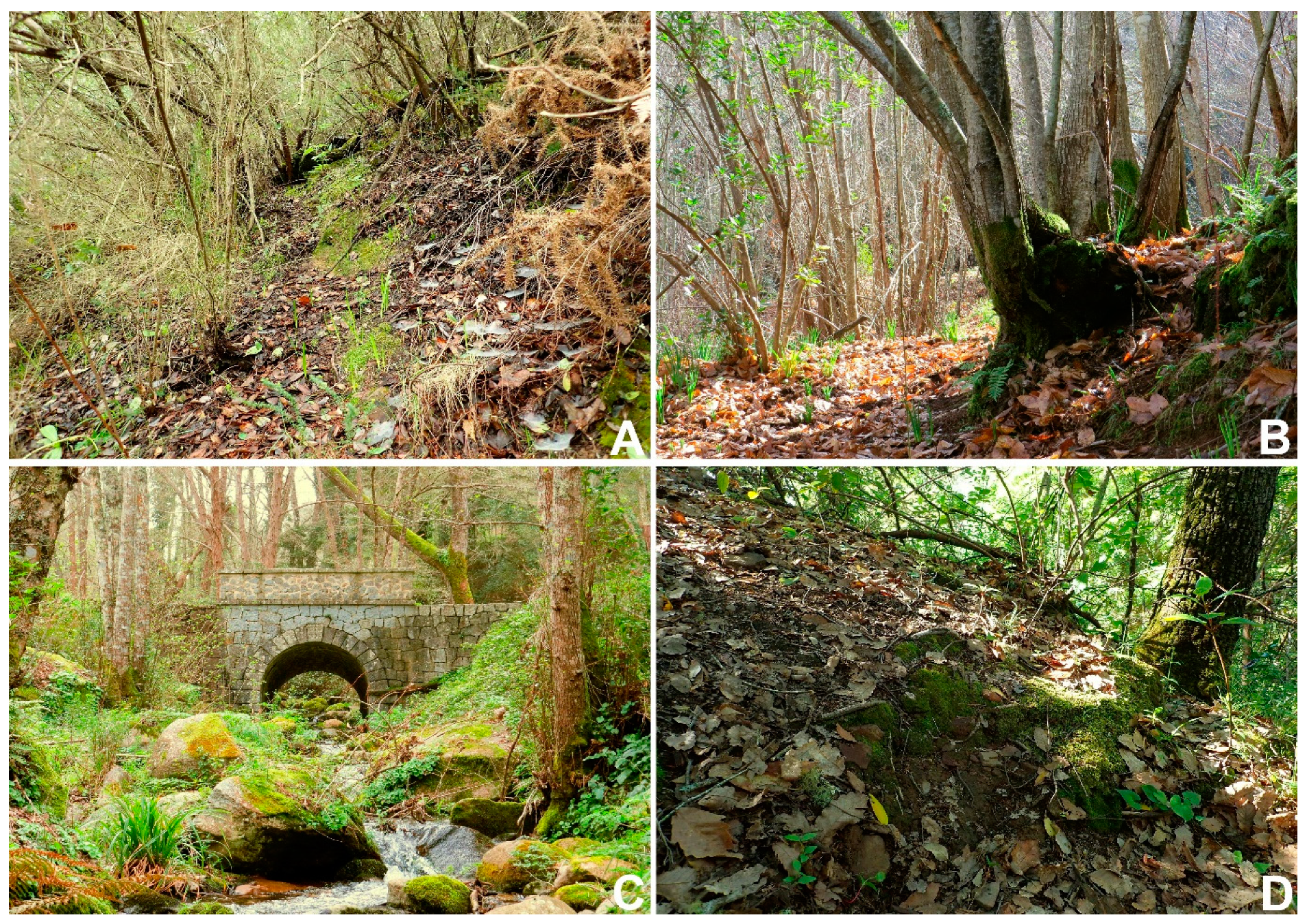 Plants 10 02289 g007 550