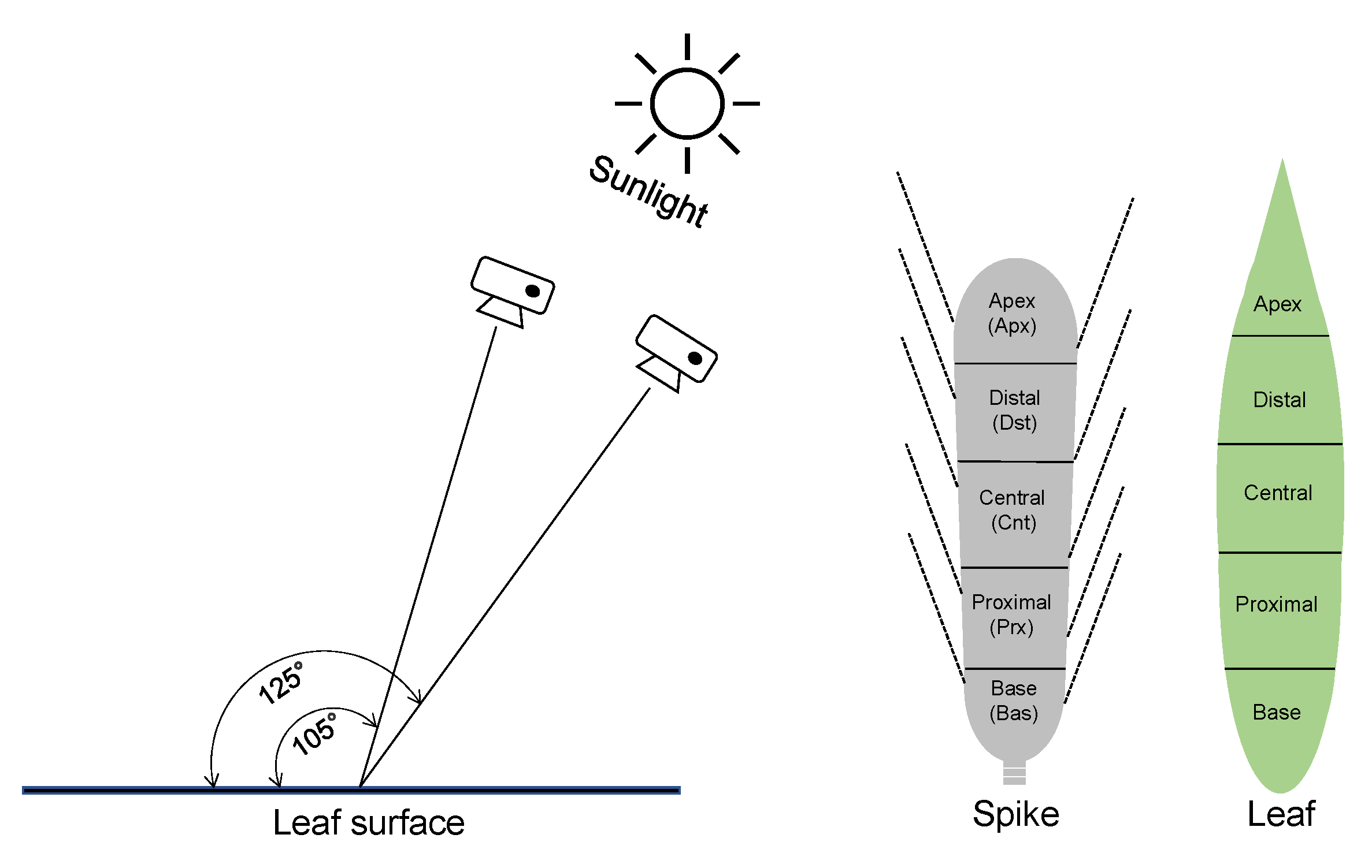 Plants 10 02291 g009 550