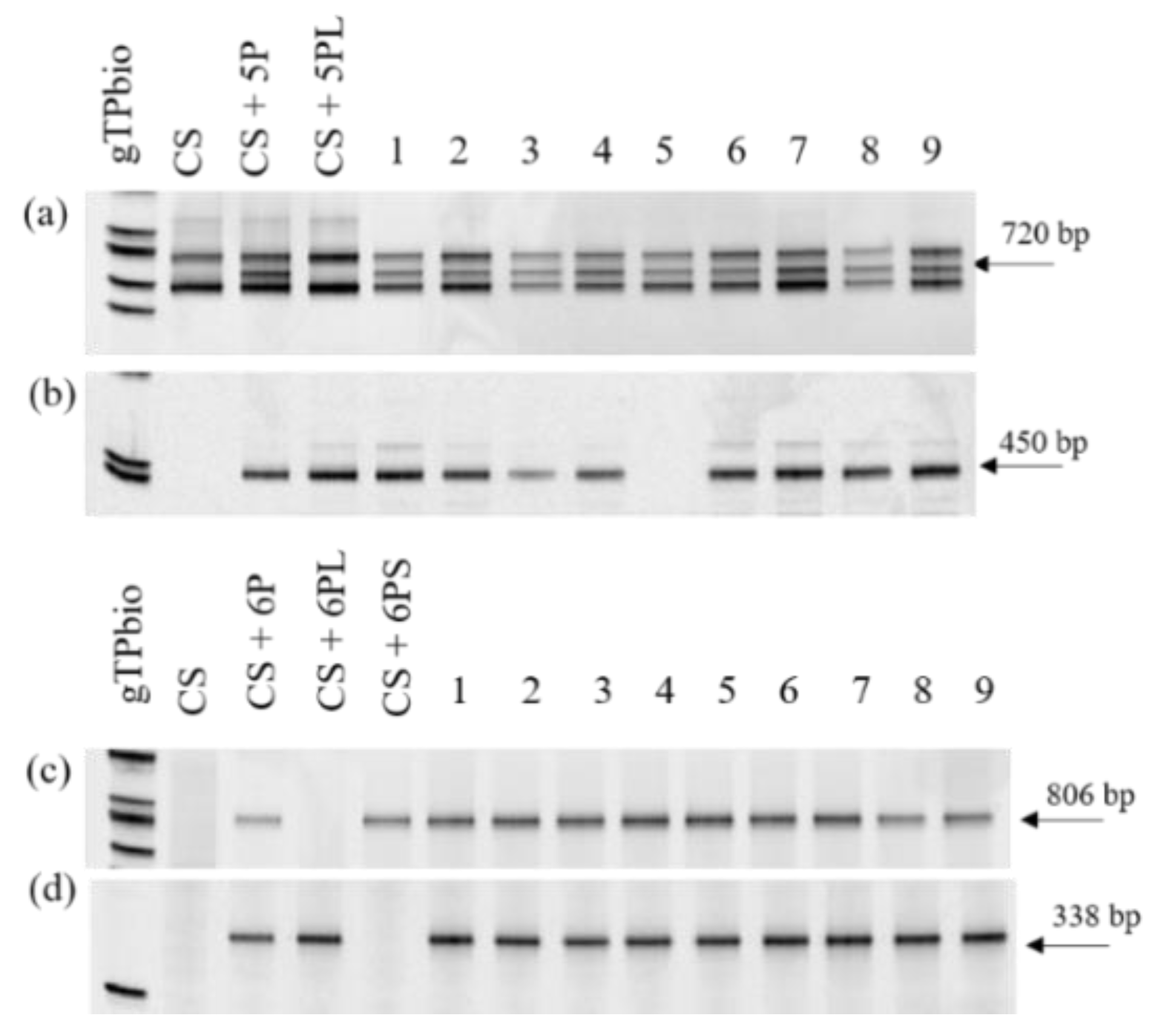 Plants 10 02292 g001 Plants 10 02292 g001