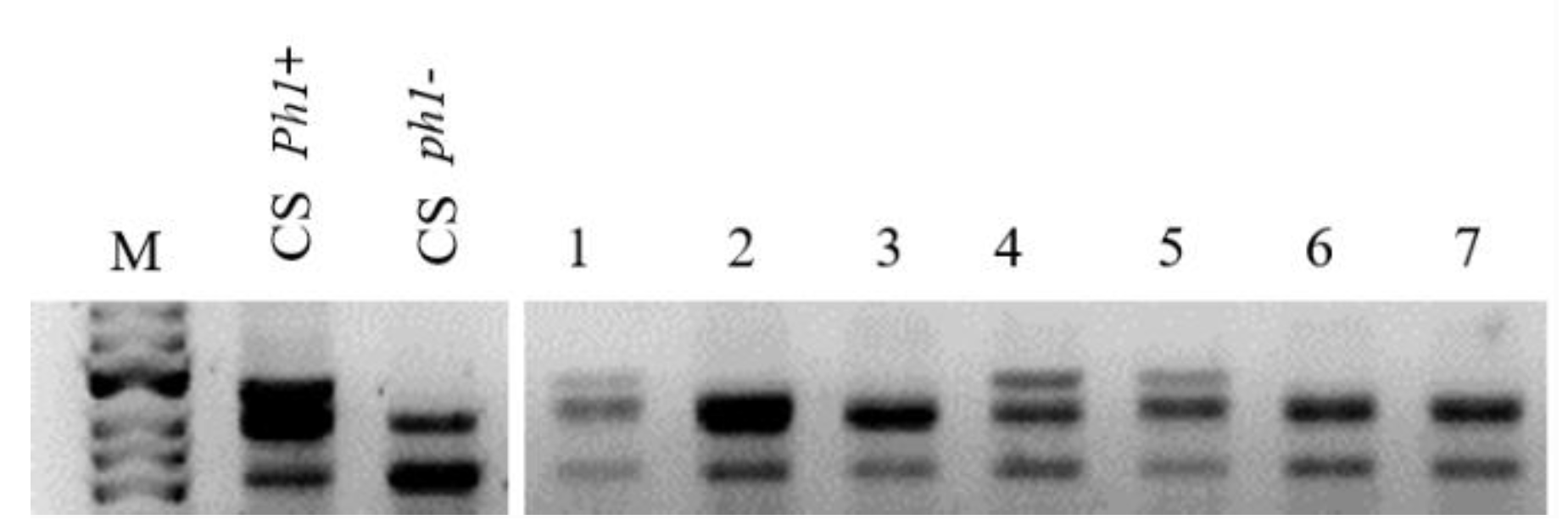 Plants 10 02292 g002 Plants 10 02292 g002