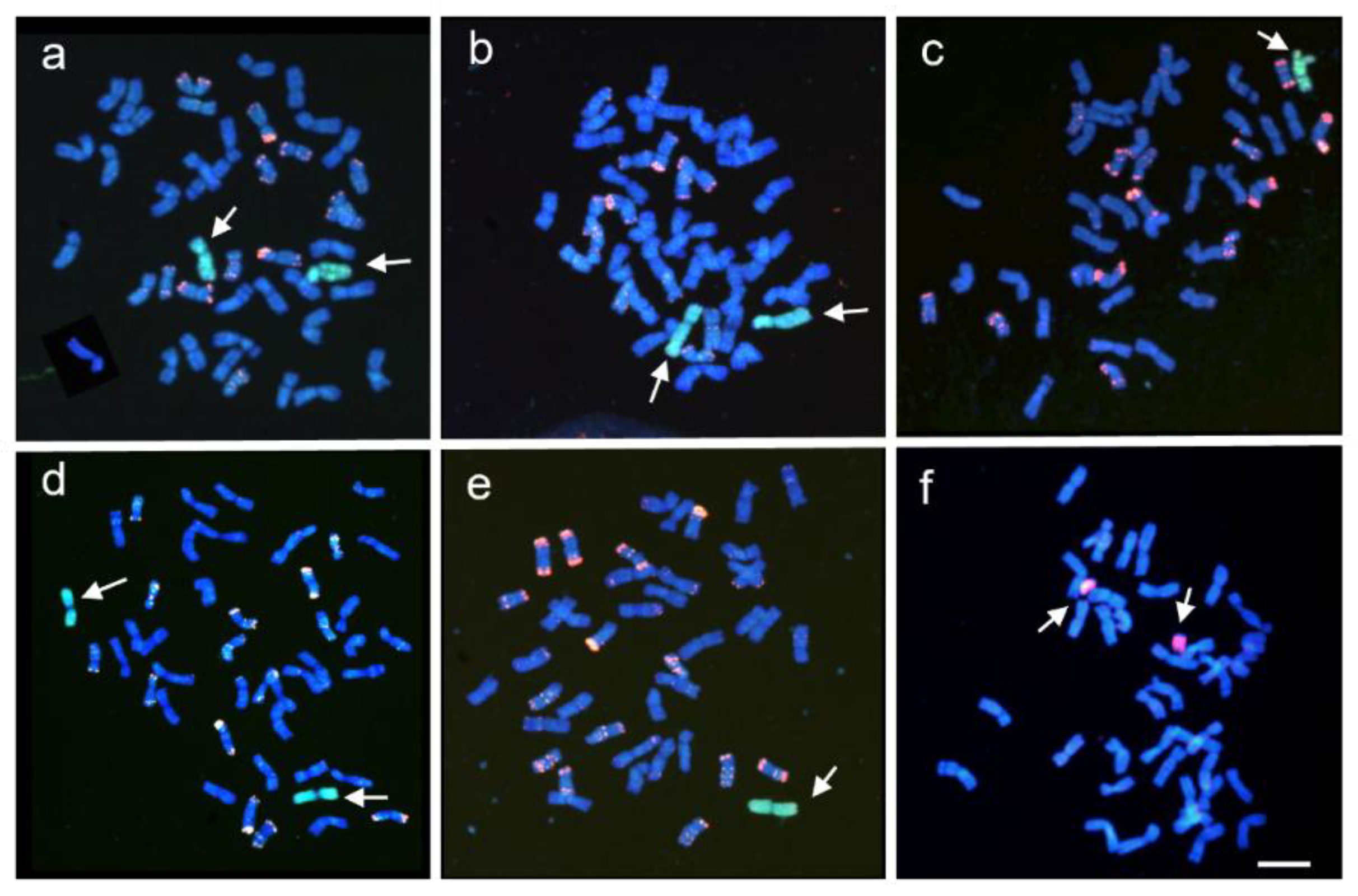 Plants 10 02292 g003 Plants 10 02292 g003