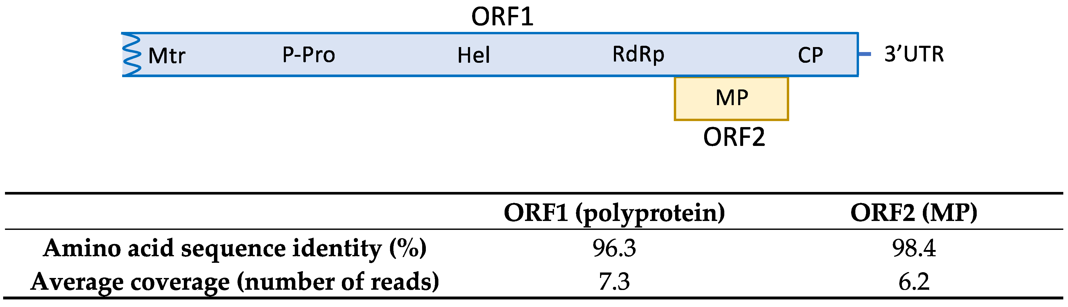 Plants 10 02293 g001 550