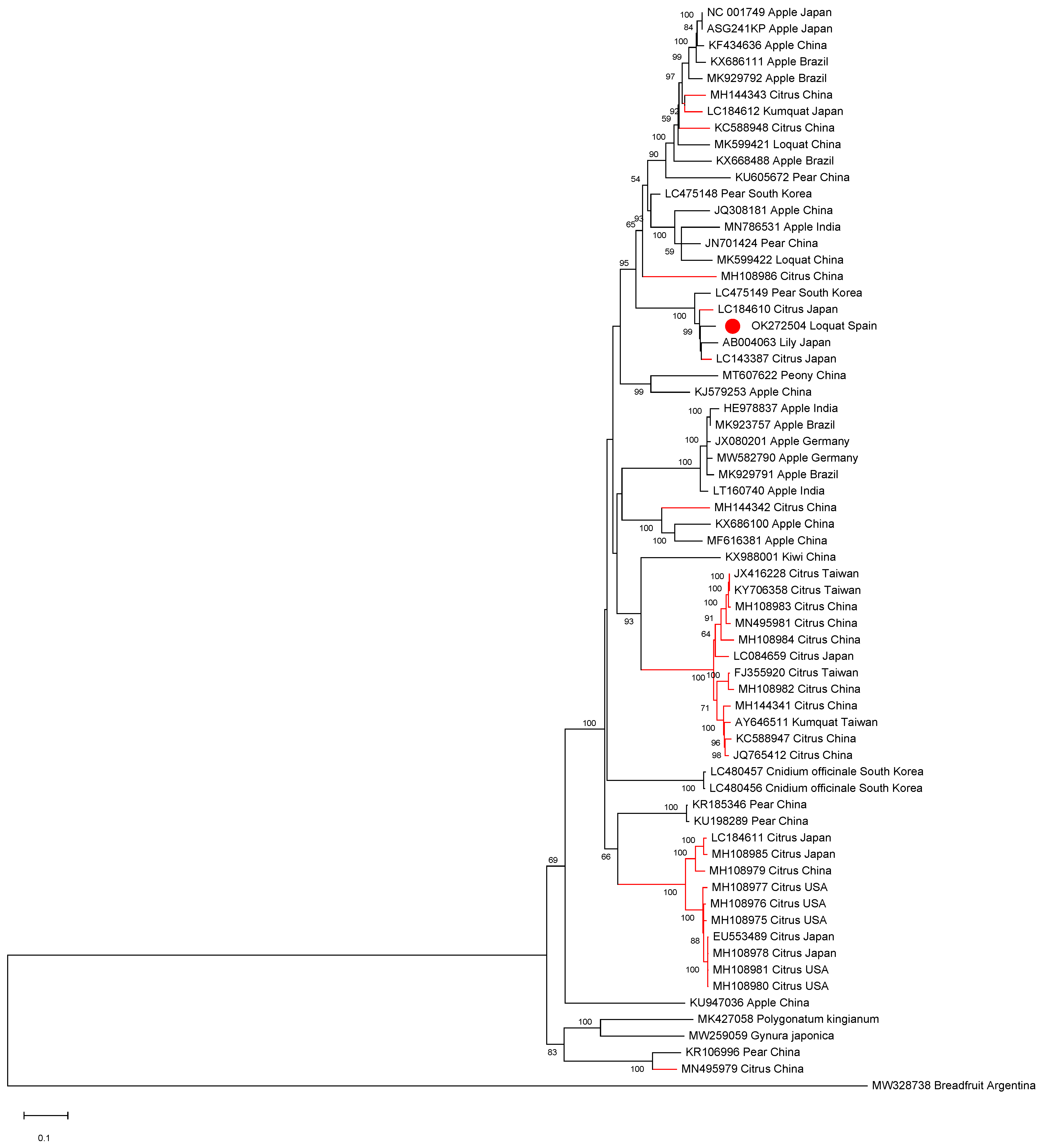 Plants 10 02293 g002 550