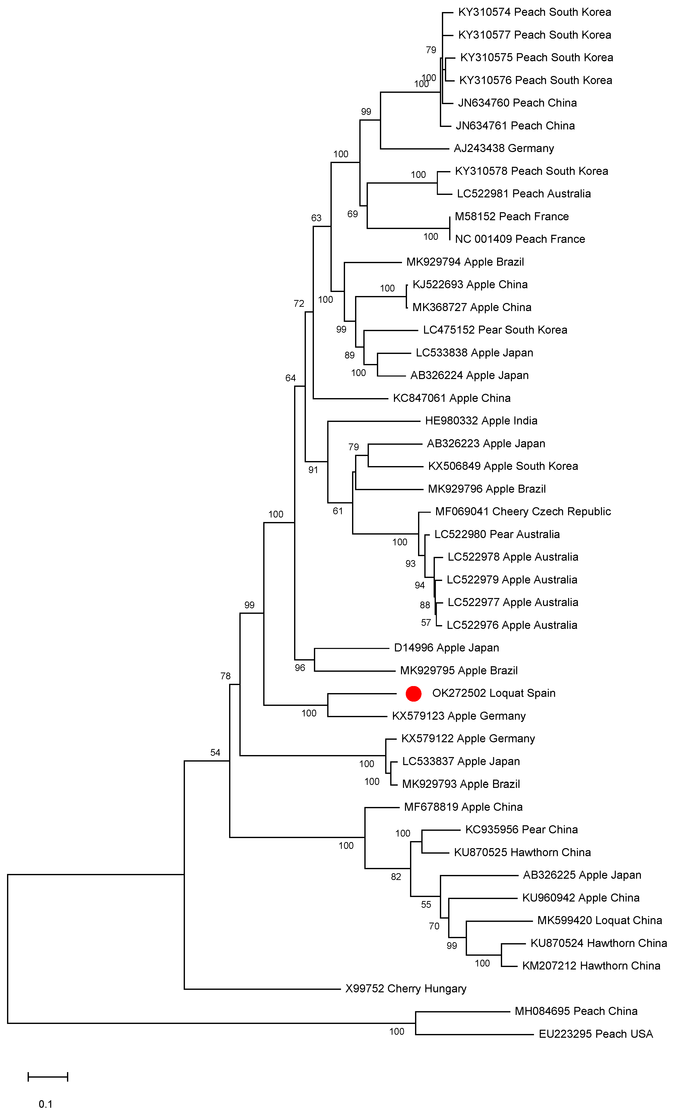 Plants 10 02293 g004 550