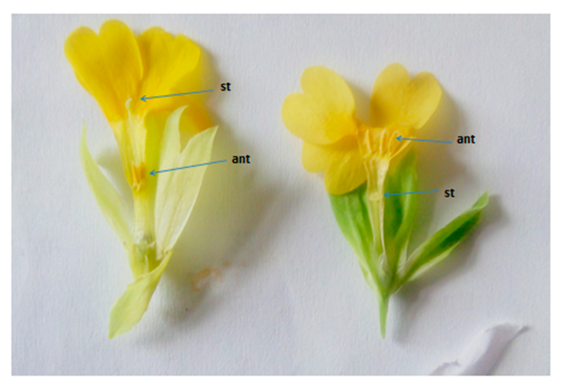 Plants 10 02296 g001 Plants 10 02296 g001