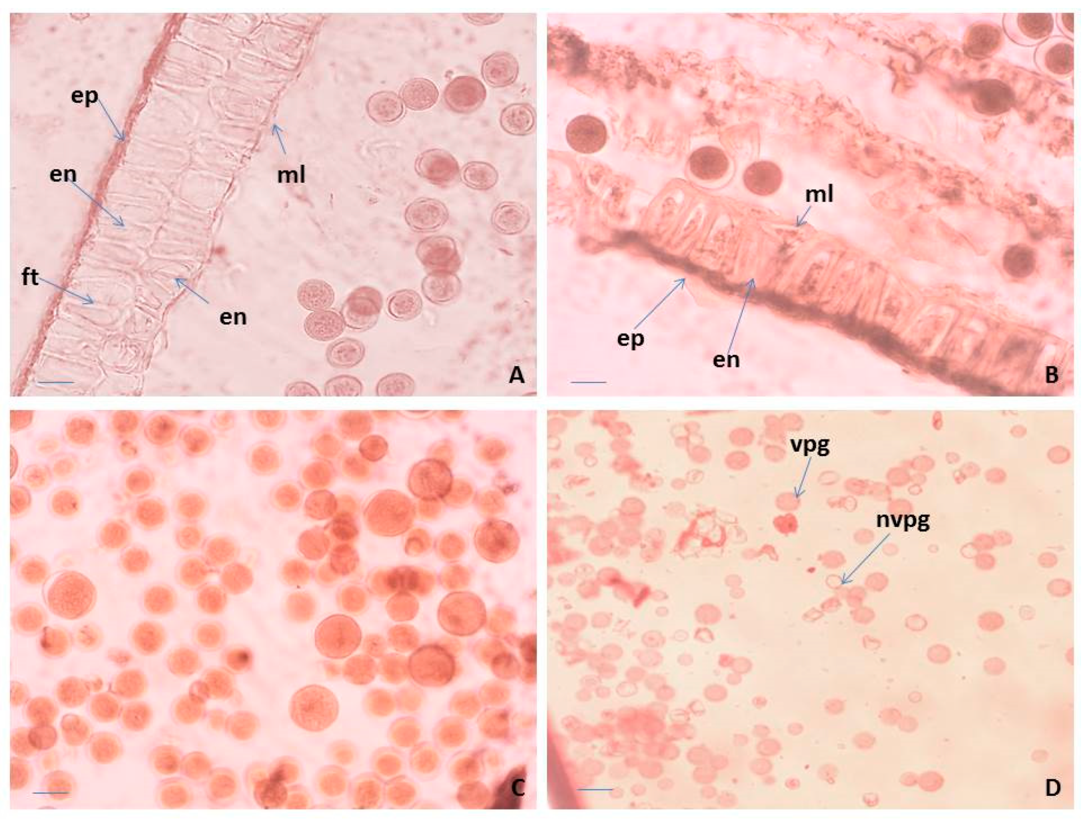 Plants 10 02296 g002 Plants 10 02296 g002