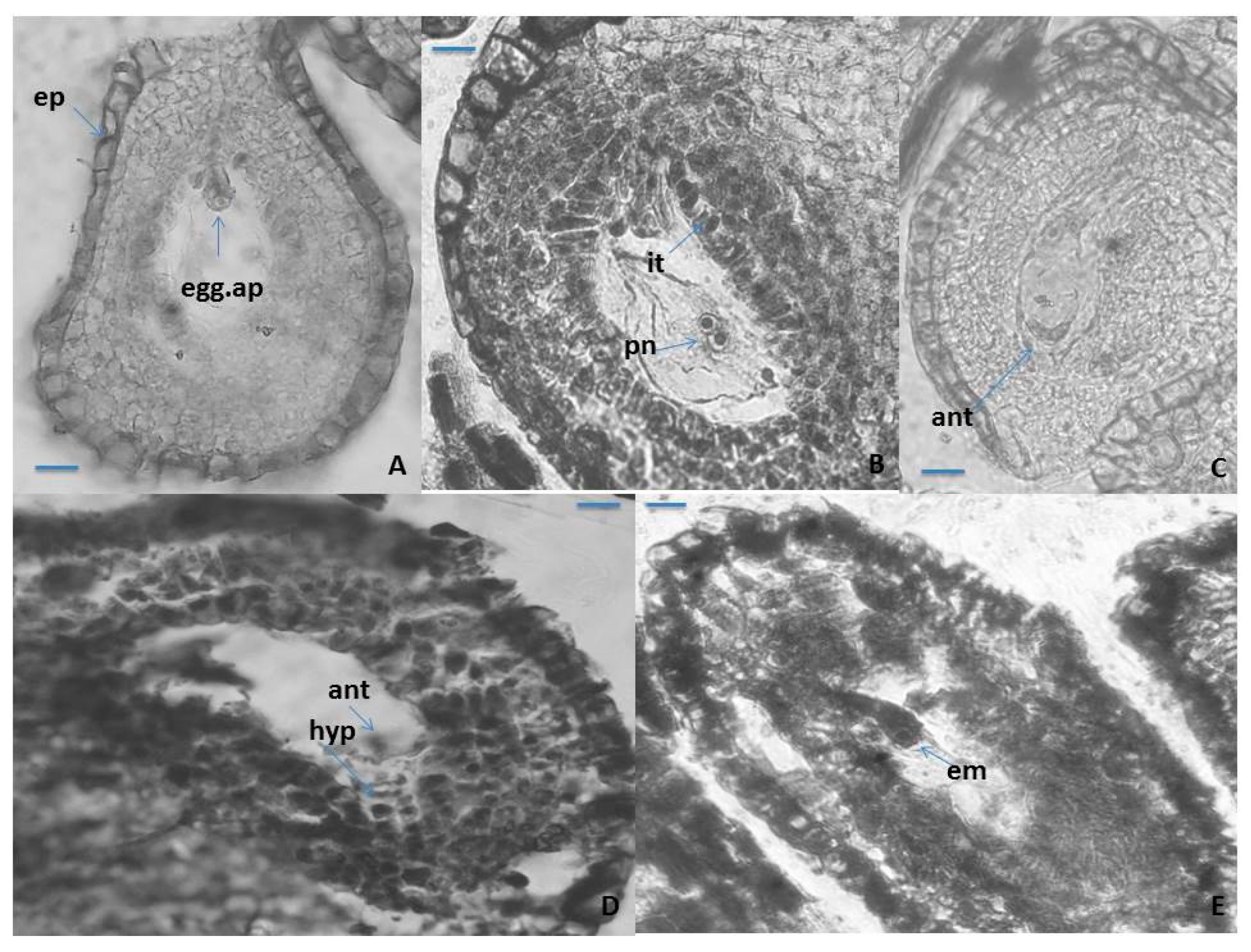 Plants 10 02296 g004 Plants 10 02296 g004