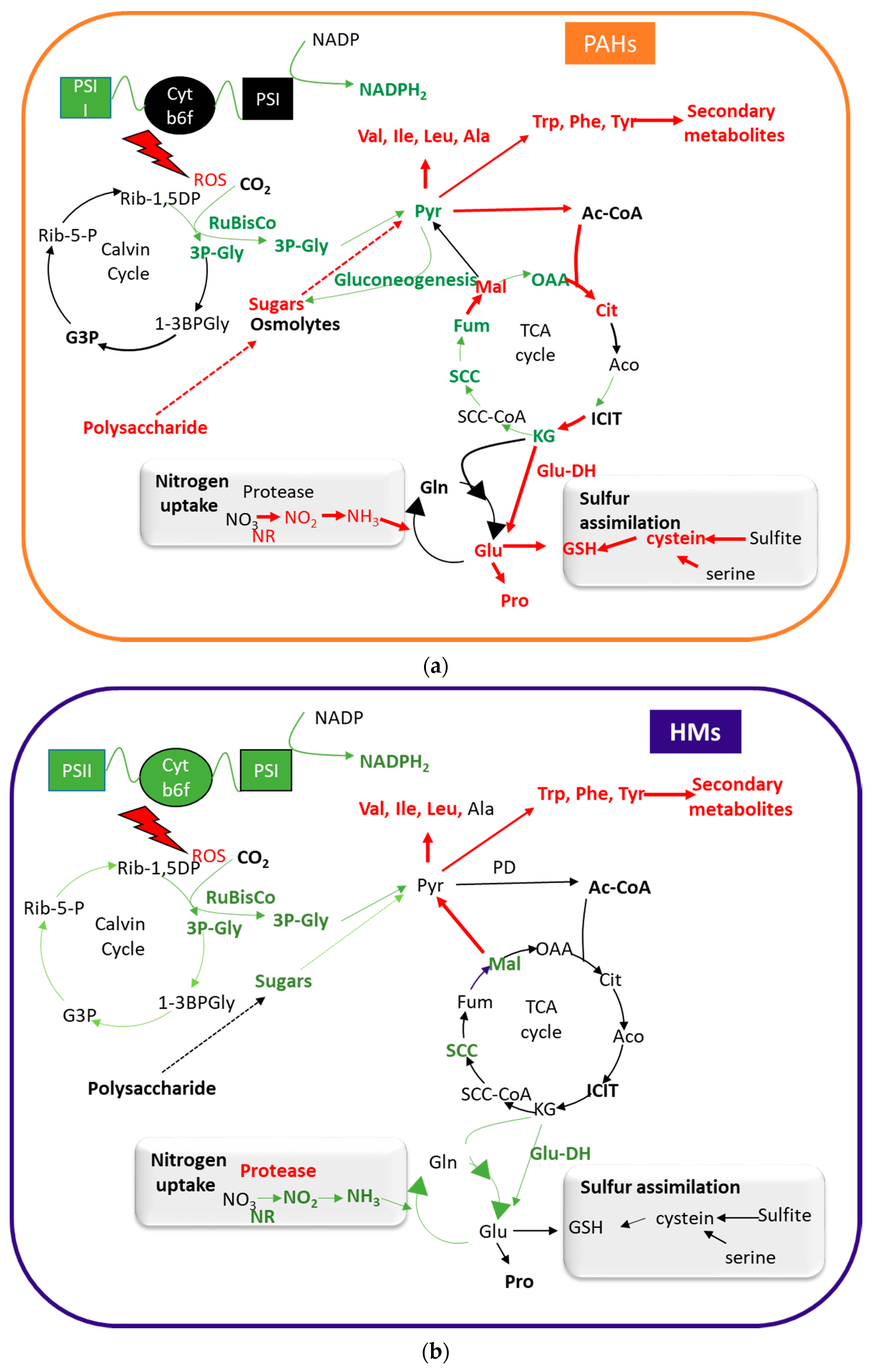 Plants 10 02305 g001