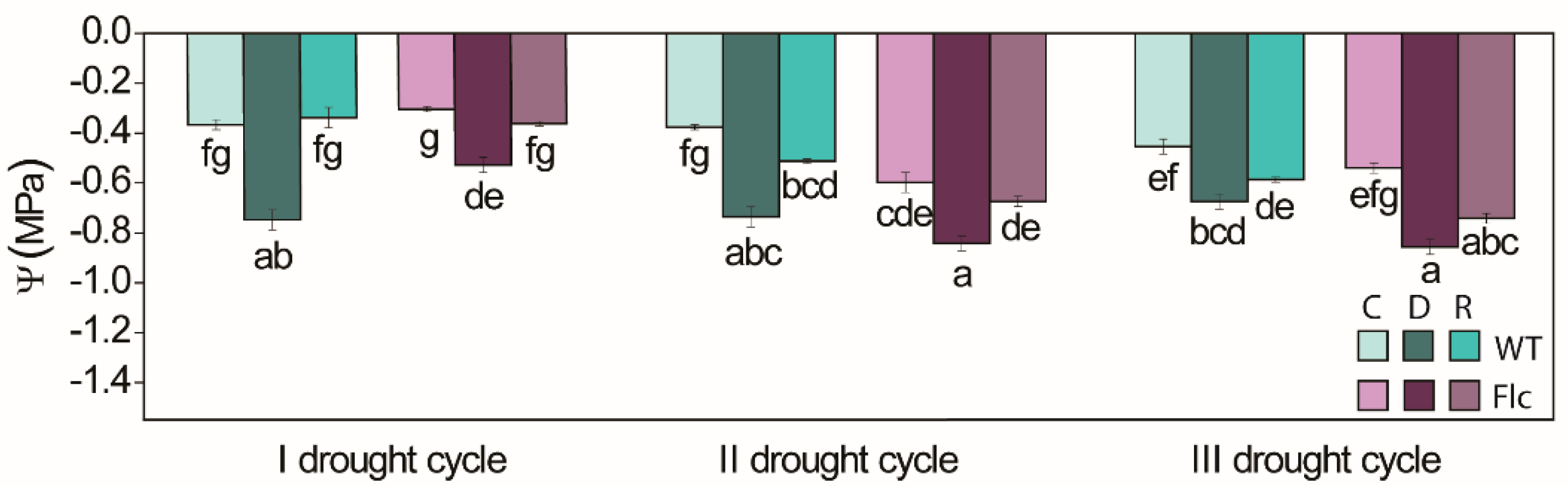 Plants 10 02308 g003