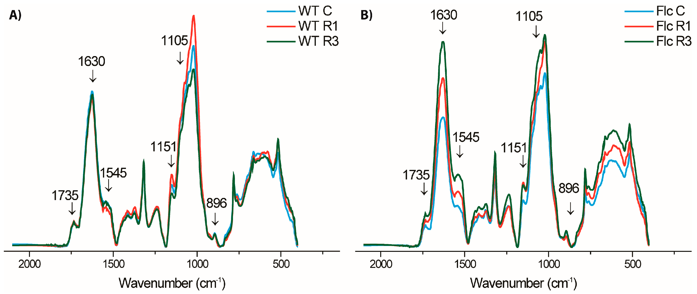 Plants 10 02308 g007